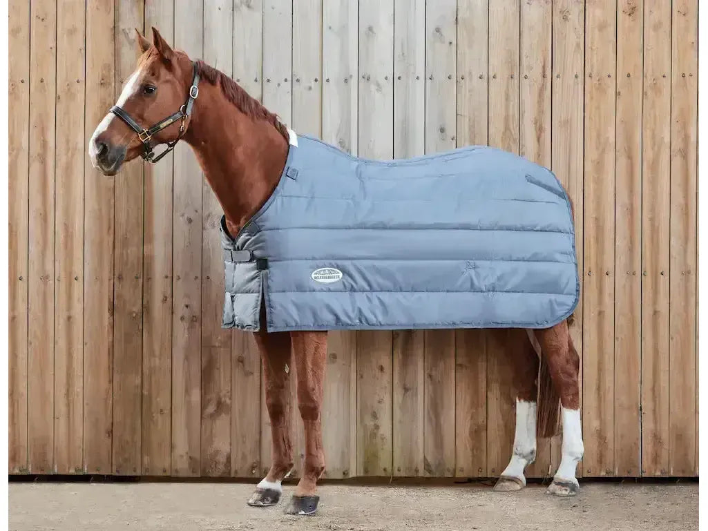 Weatherbeeta Comfitec Thermi 100g Heat Liner Medium/Lite