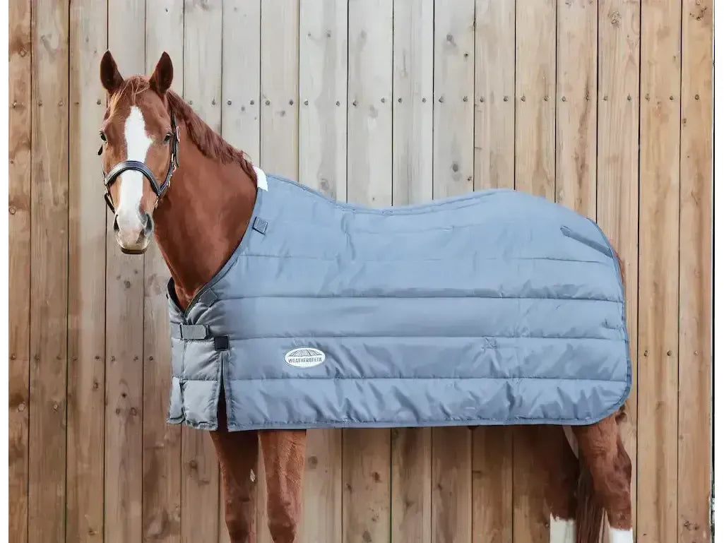 Weatherbeeta Comfitec Thermi 100g Heat Liner Medium/Lite