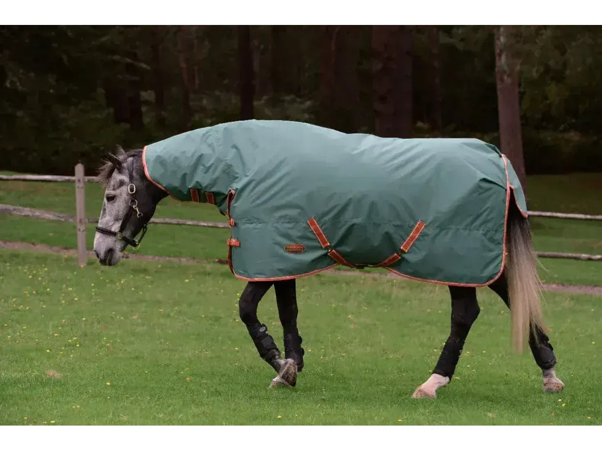 Weatherbeeta Comfitec Tyro Combo Neck Lite Plus