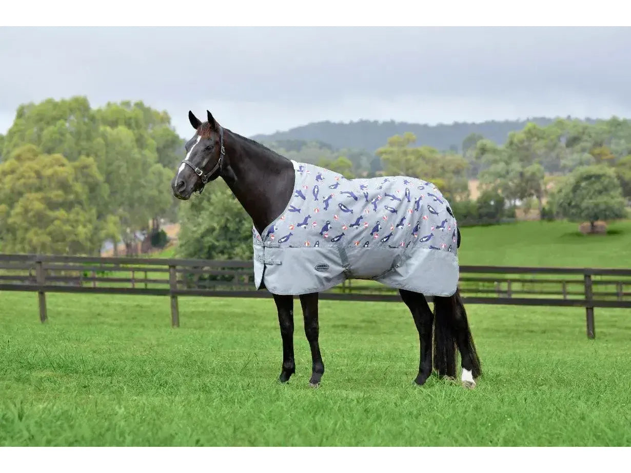 Weatherbeeta Comfitec Tyro Standard 50g Neck Lite Plus