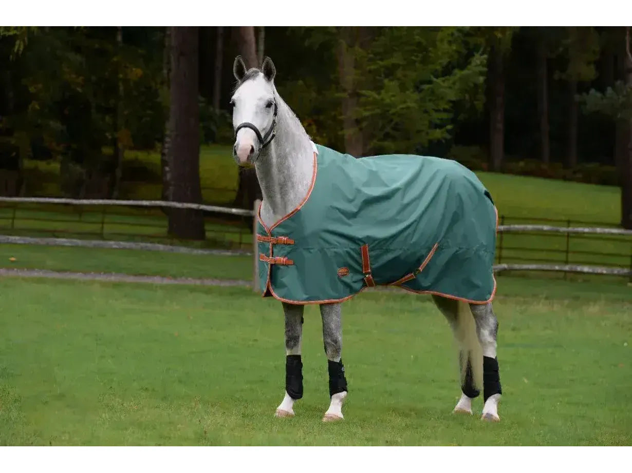 Weatherbeeta Comfitec Tyro Standard 50g Neck Lite Plus