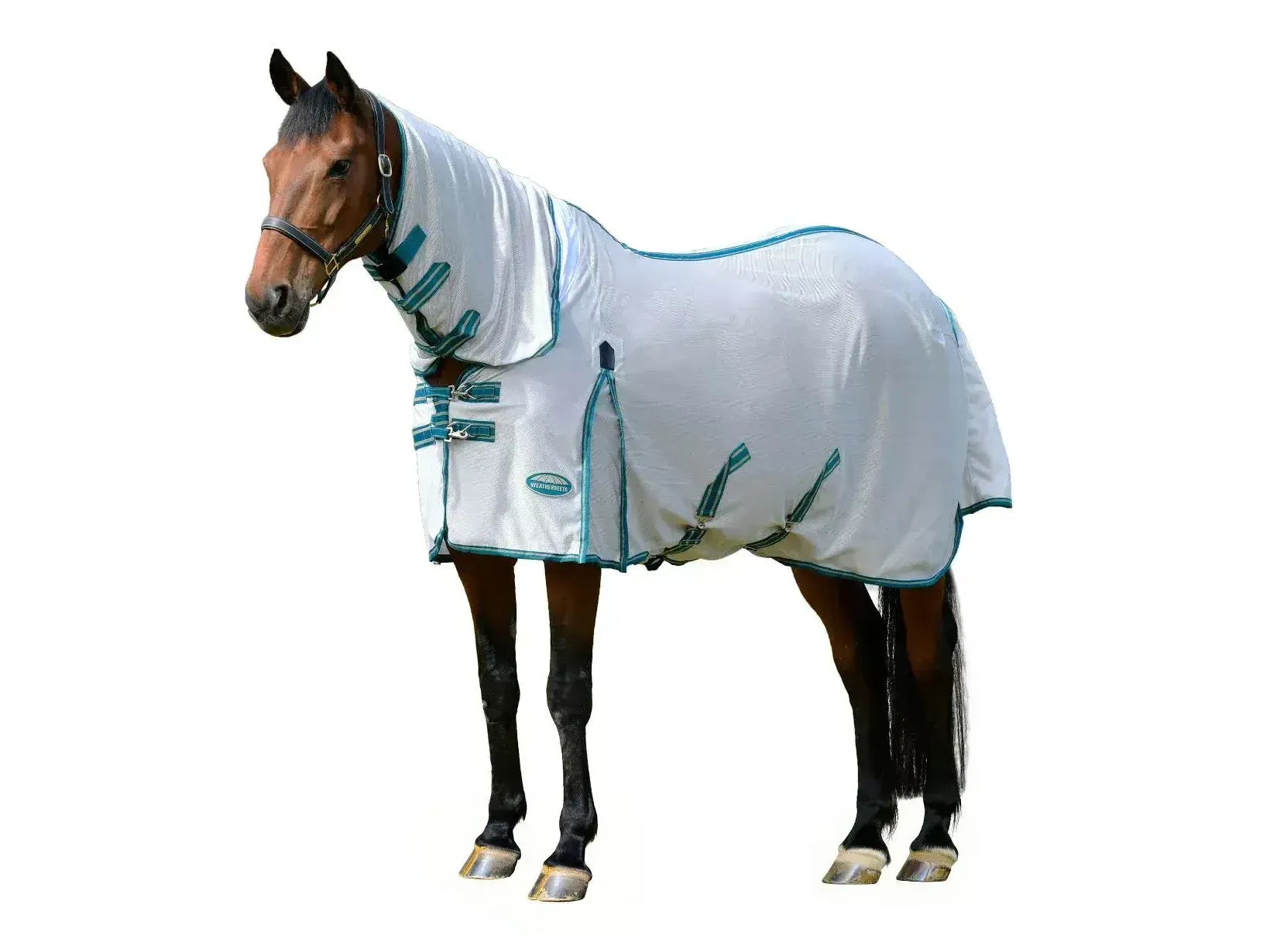 Weatherbeeta Comfitec Zephyr Plus Mesh Combo Neck