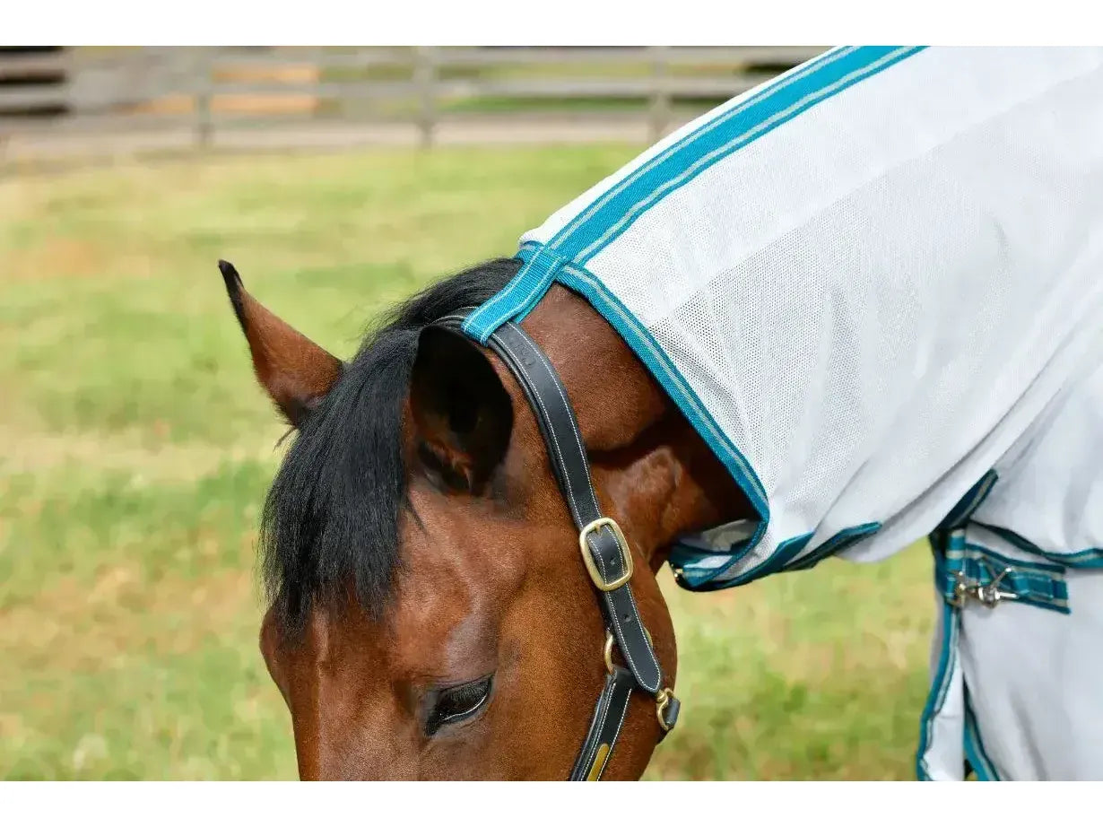 Weatherbeeta Comfitec Zephyr Plus Mesh Combo Neck