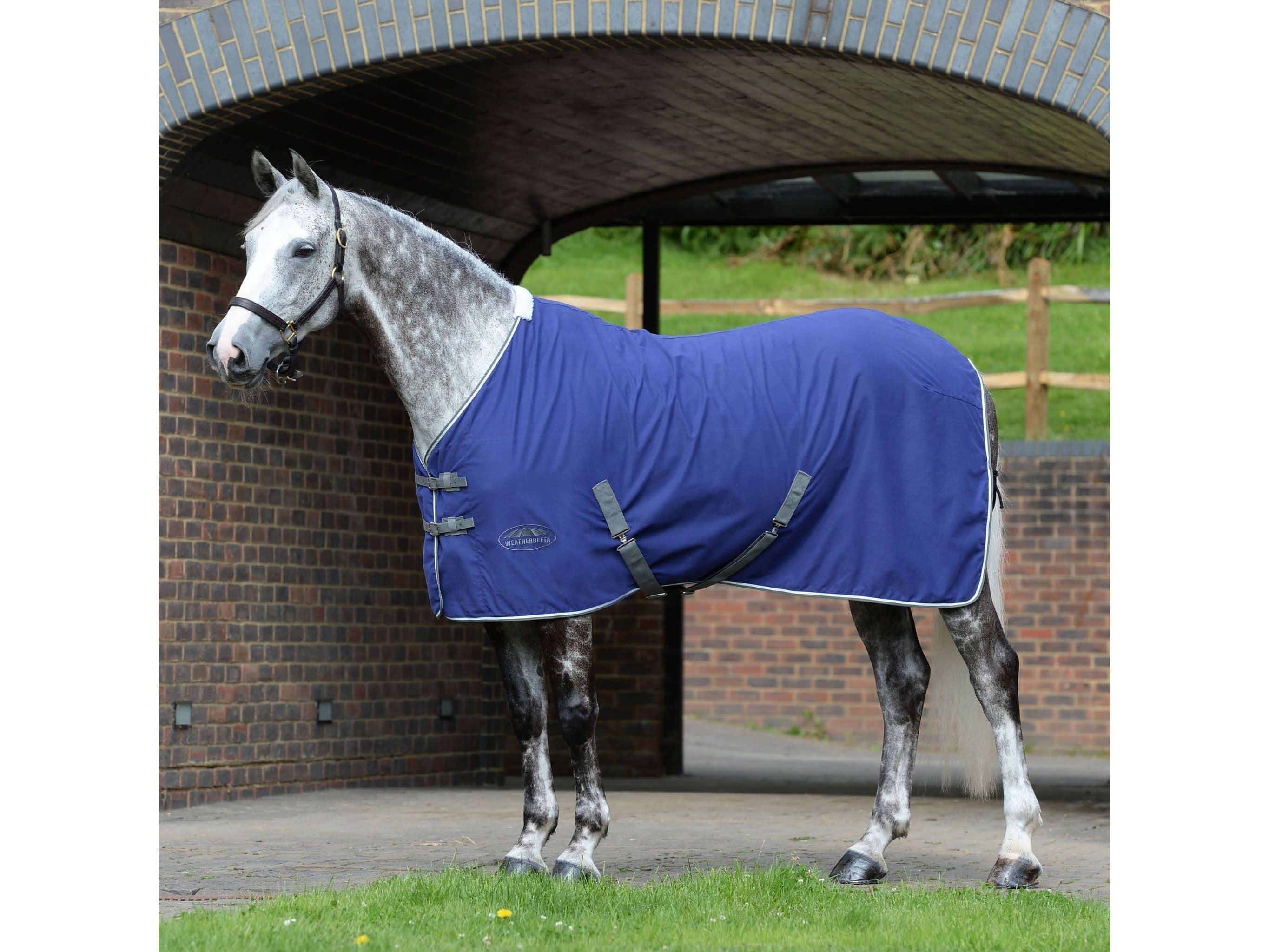 Weatherbeeta Cotton Show Sheet with Surcingles II Standard Neck