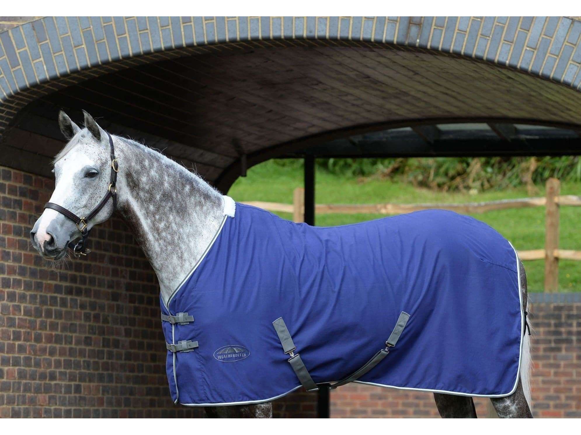 Weatherbeeta Cotton Show Sheet with Surcingles II Standard Neck