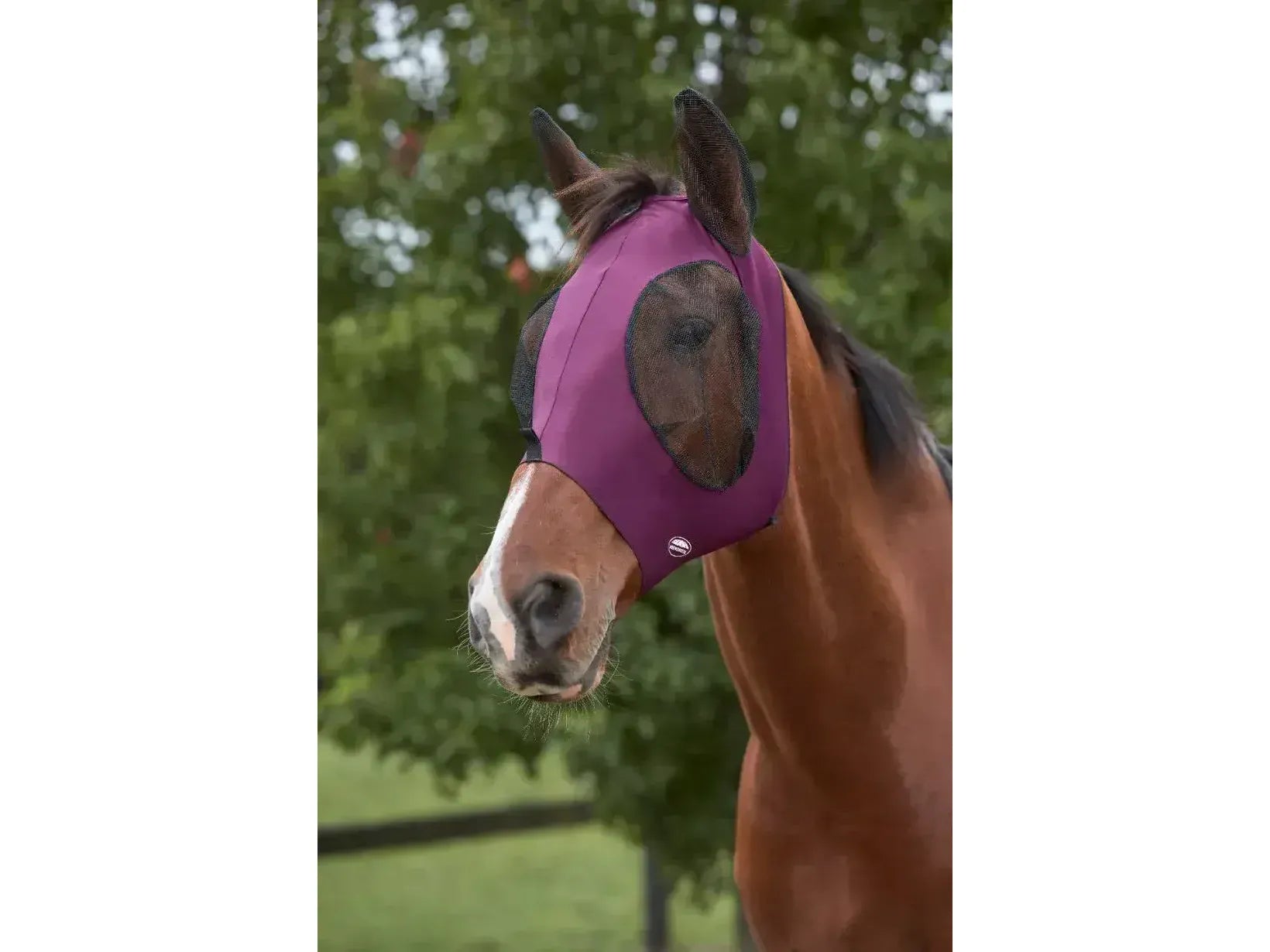 Weatherbeeta Deluxe Stretch Bug Eye Saver With Ears