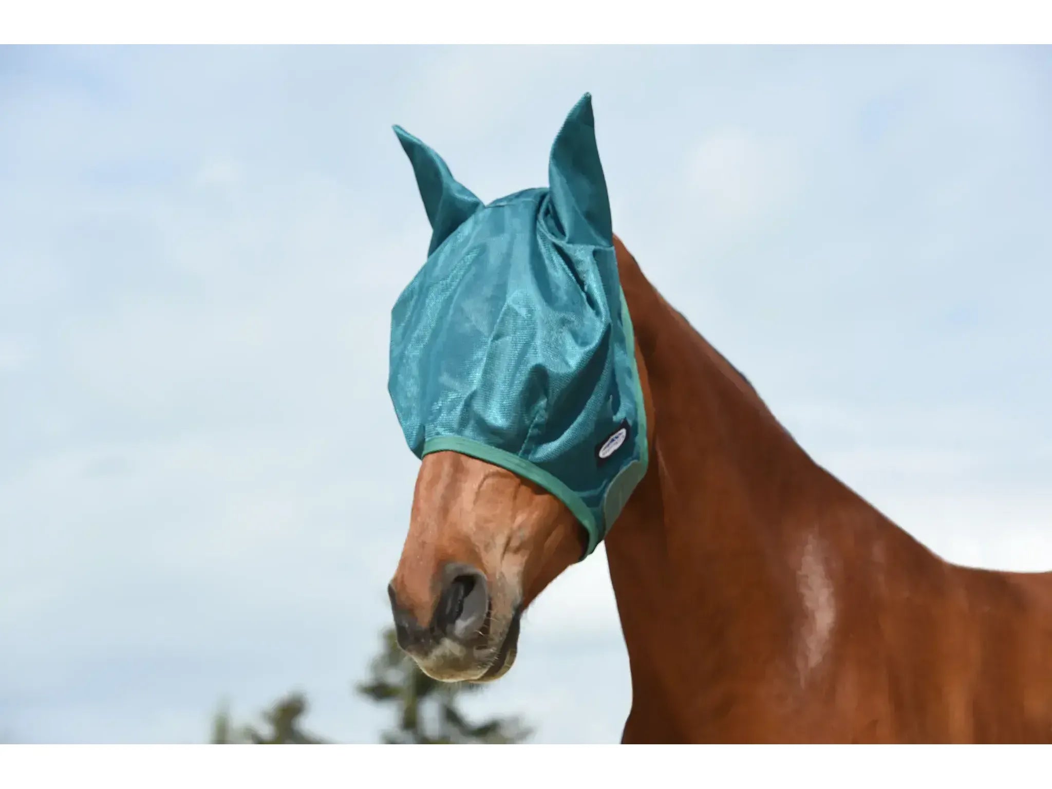 Weatherbeeta Green-Tec Airflow Mesh Mask