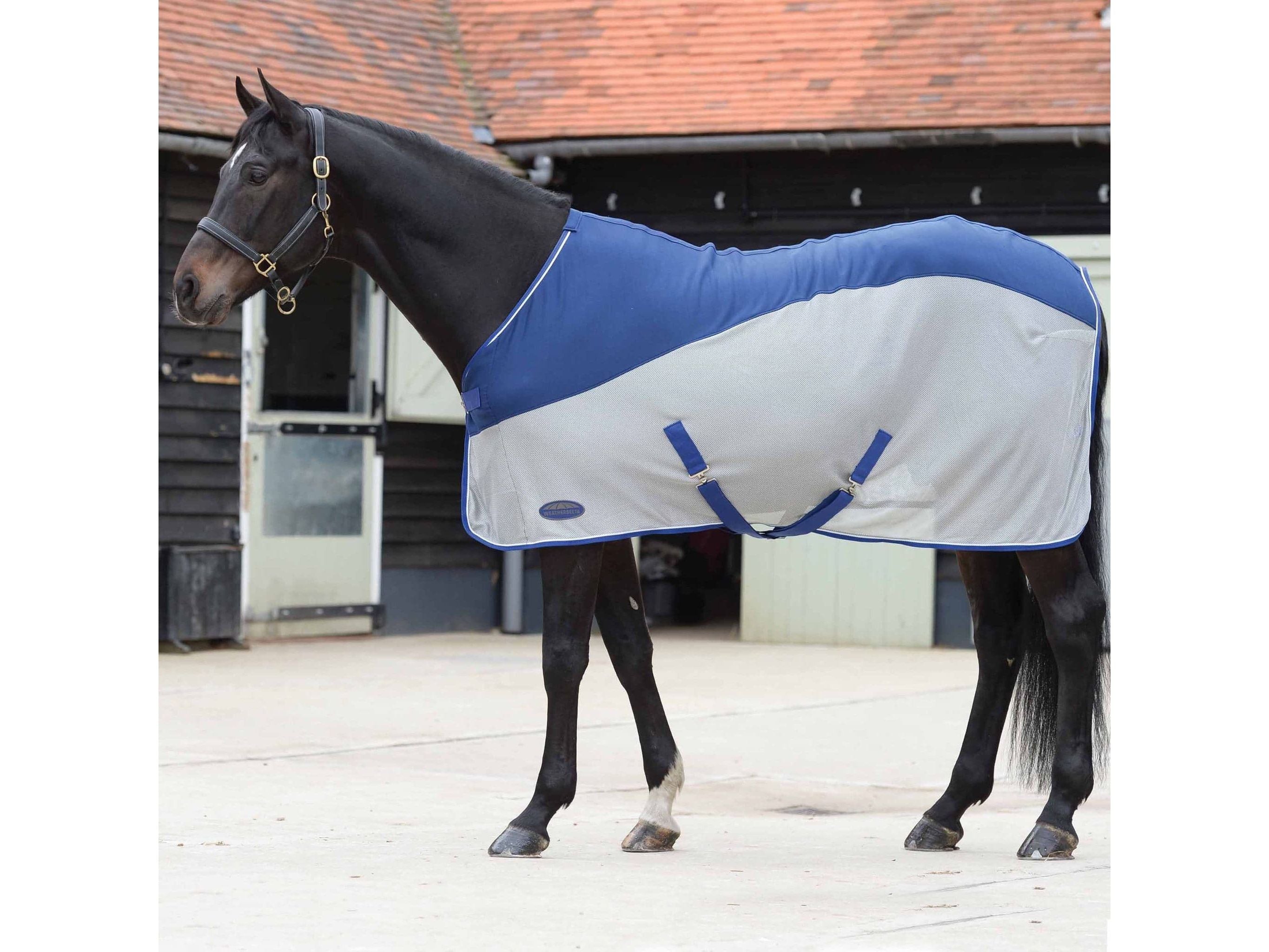 Weatherbeeta Micro-Air Cooler Standard Neck Blue/Grey