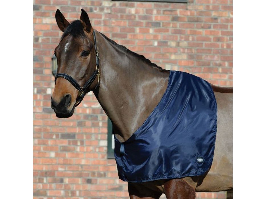 WeatherBeeta Satin Shoulder Guard in Black