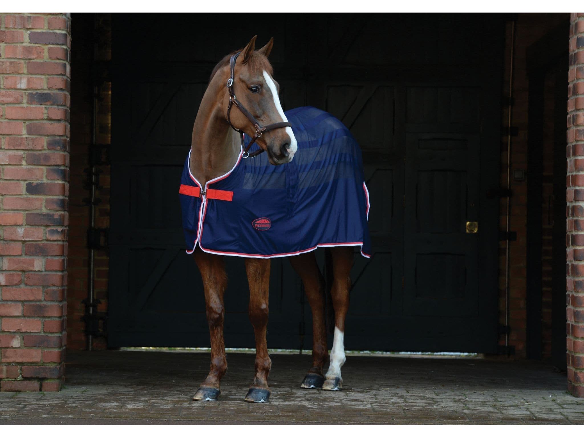 Weatherbeeta Scrim Cooler Standard Neck Navy/Red/White