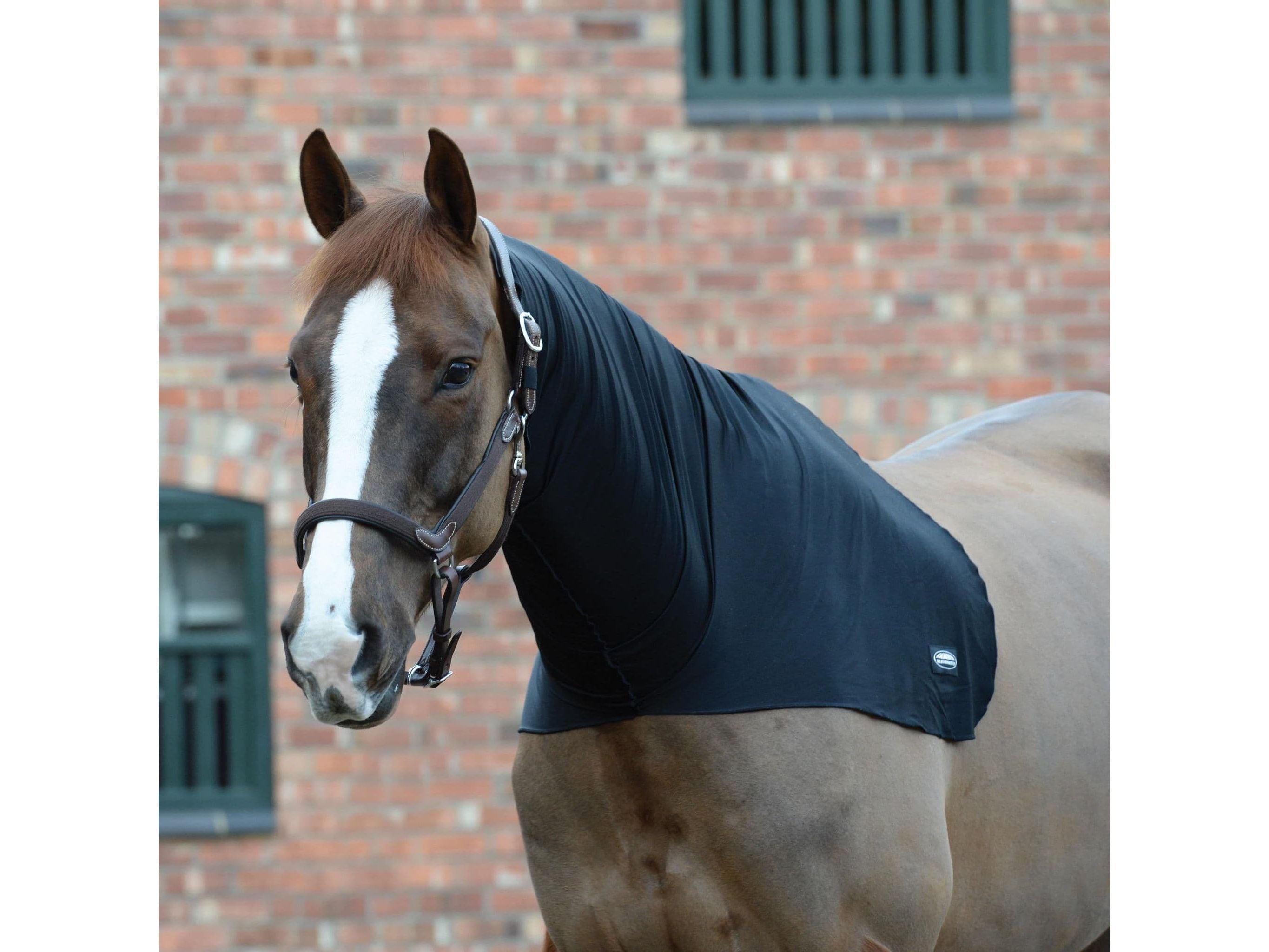 Weatherbeeta Stretch Neck Rug Black