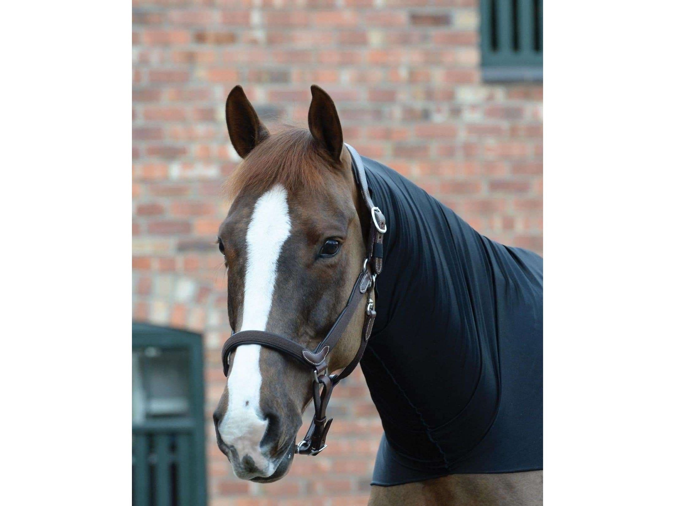 Weatherbeeta Stretch Neck Rug Black