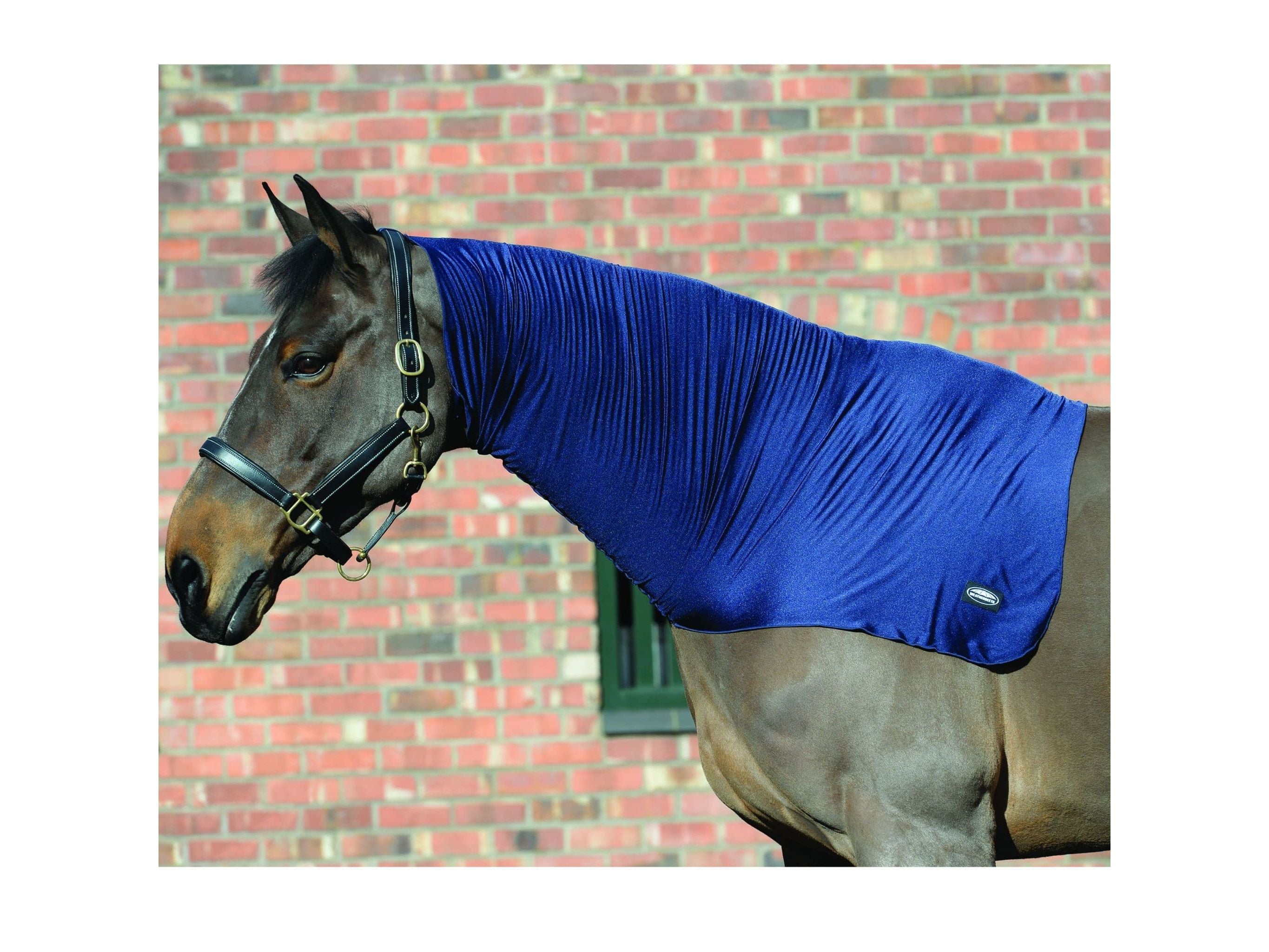 Weatherbeeta Stretch Neck Rug Navy