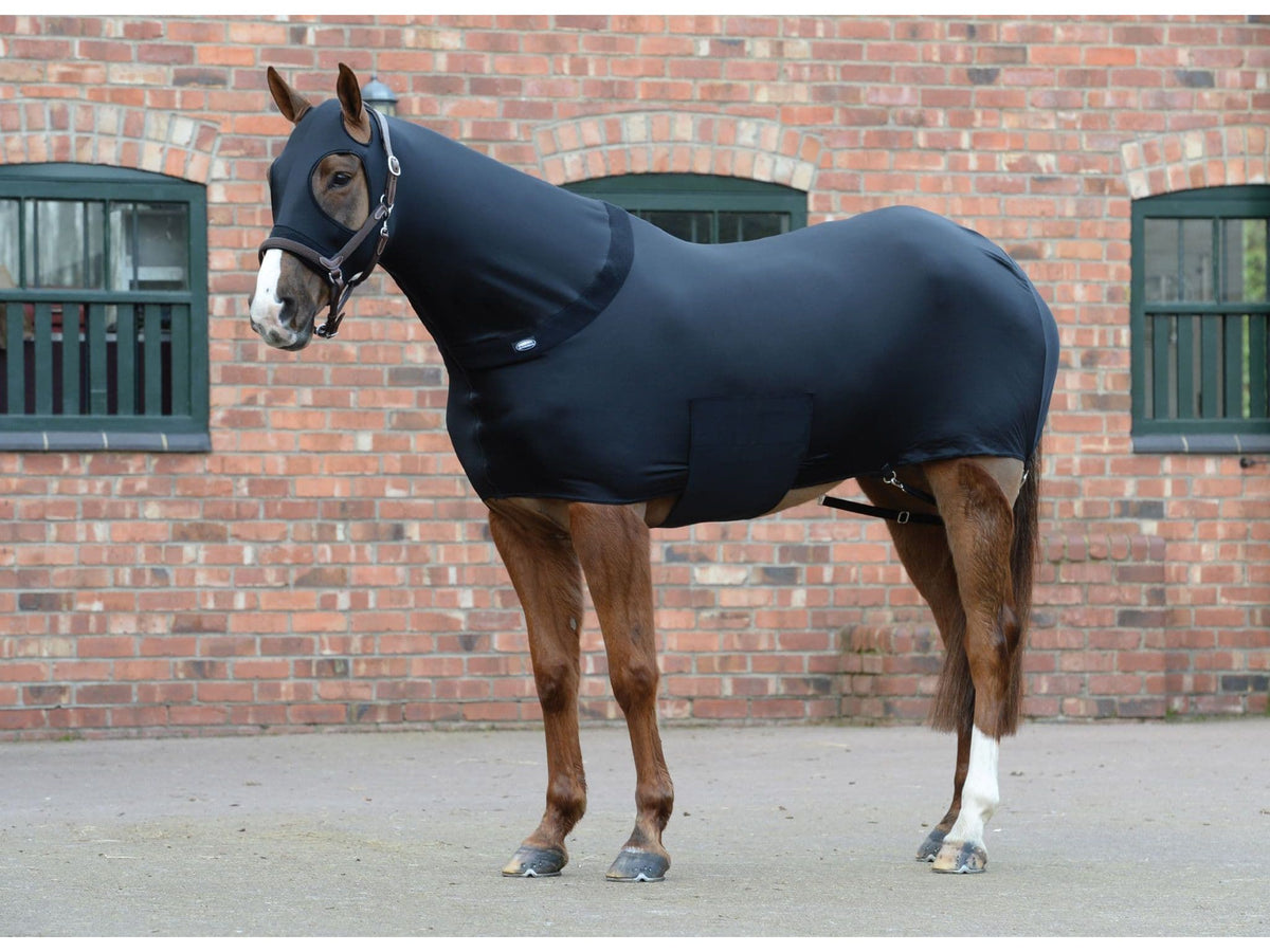 WeatherBeeta Stretch Rug in Black