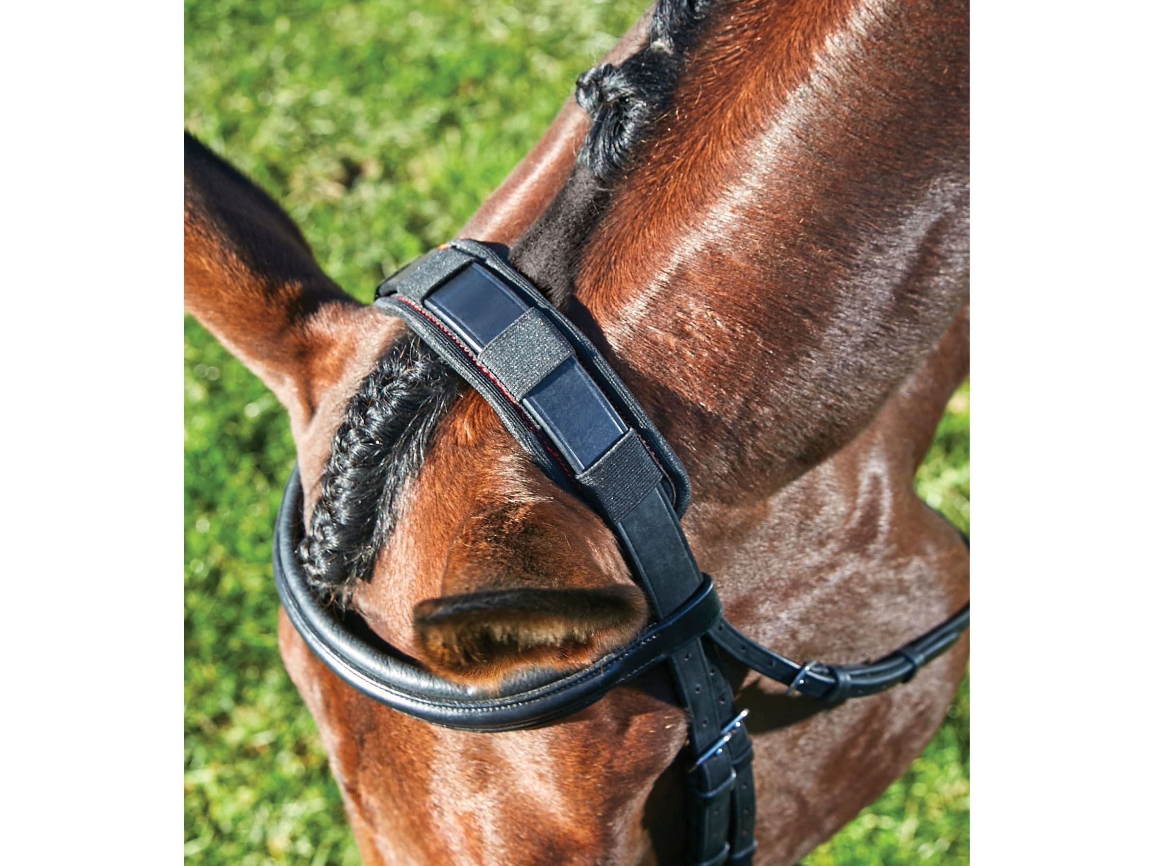 Weatherbeeta Therapy-Tec Poll Pad