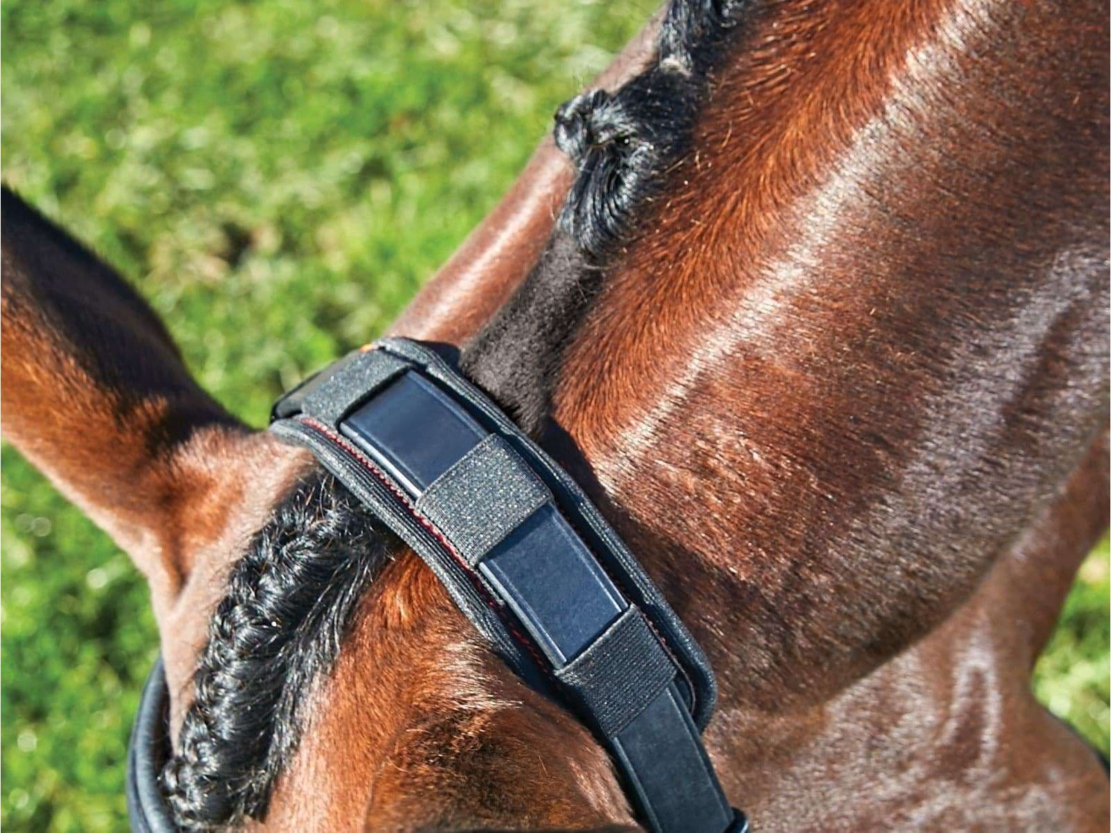 Weatherbeeta Therapy-Tec Poll Pad