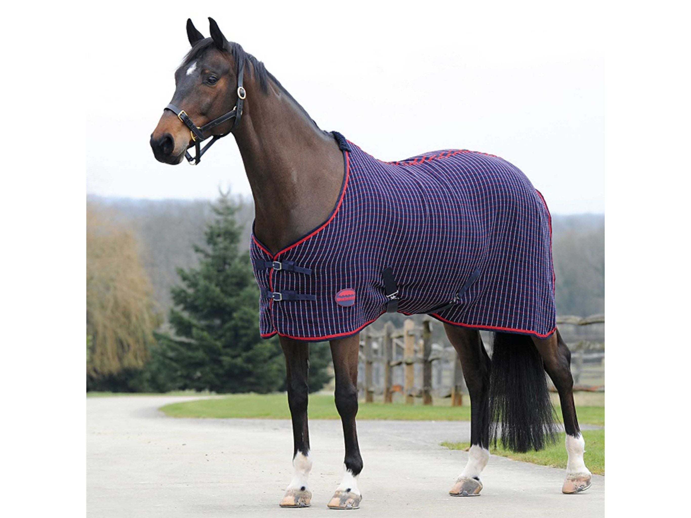 Weatherbeeta Waffle Cooler Standard Neck Navy/Red/White