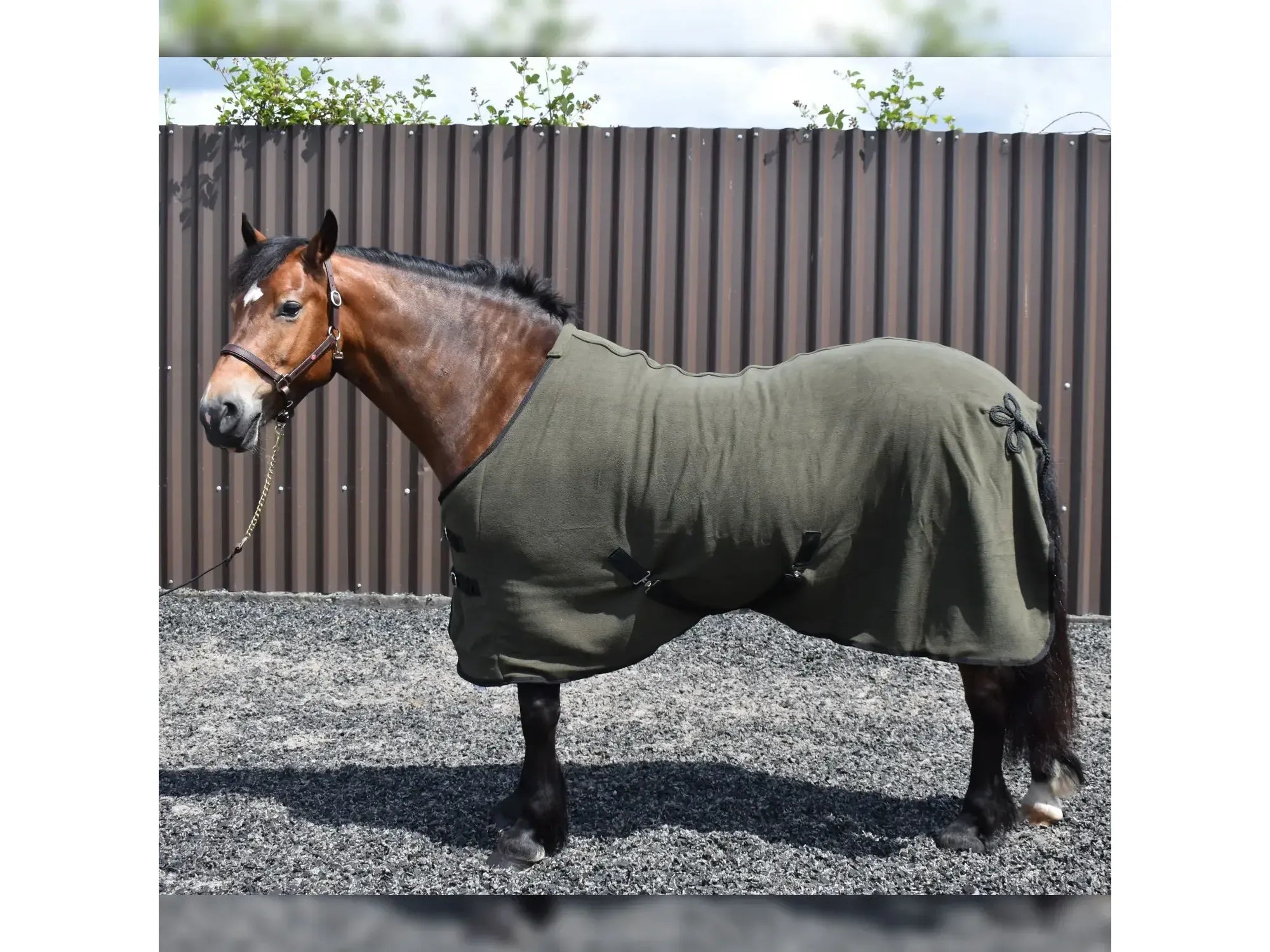 Whitaker Bilbao Bonded Fleece Rug in Olive