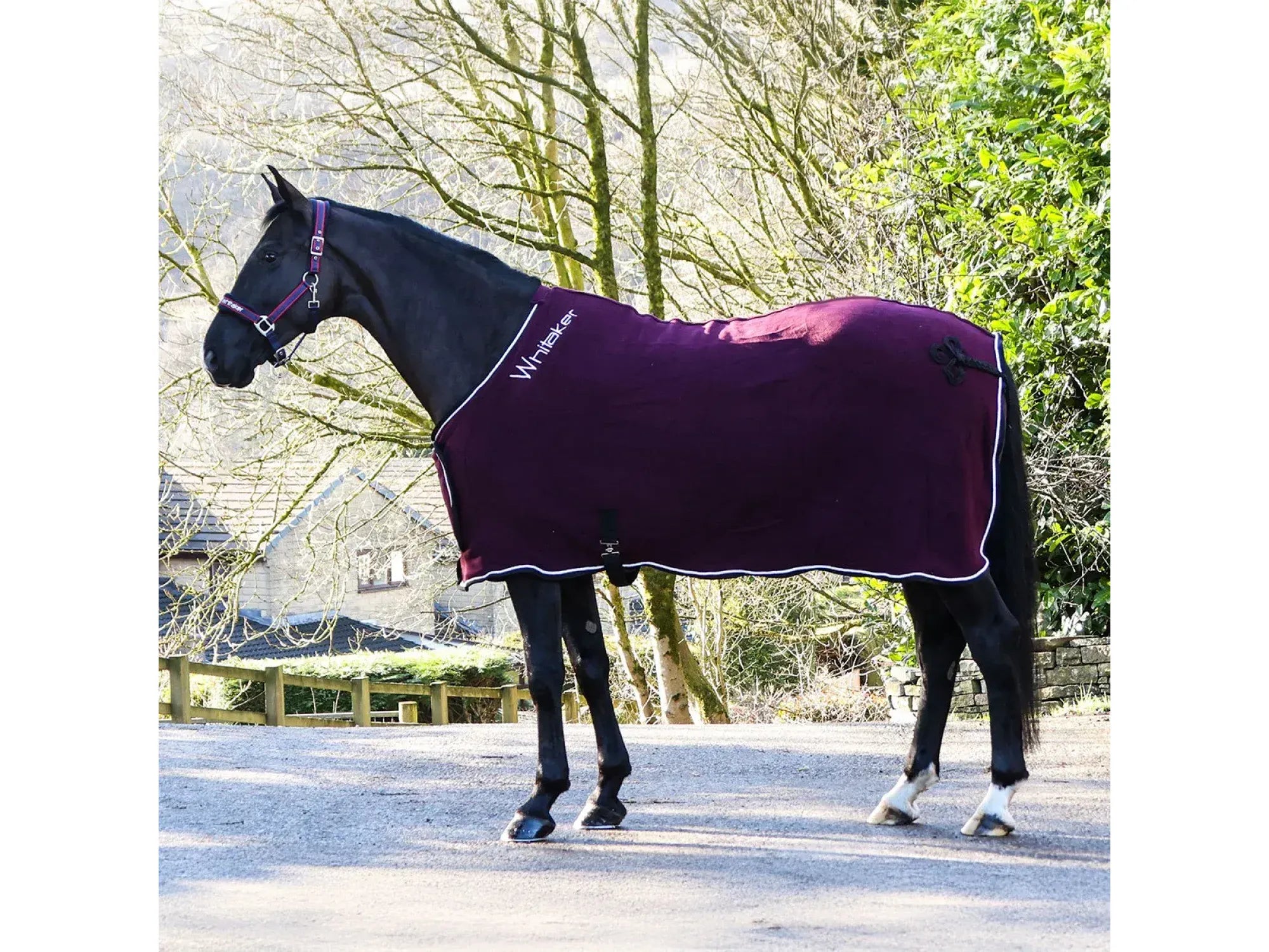 Whitaker Club Show Rug in Burgundy
