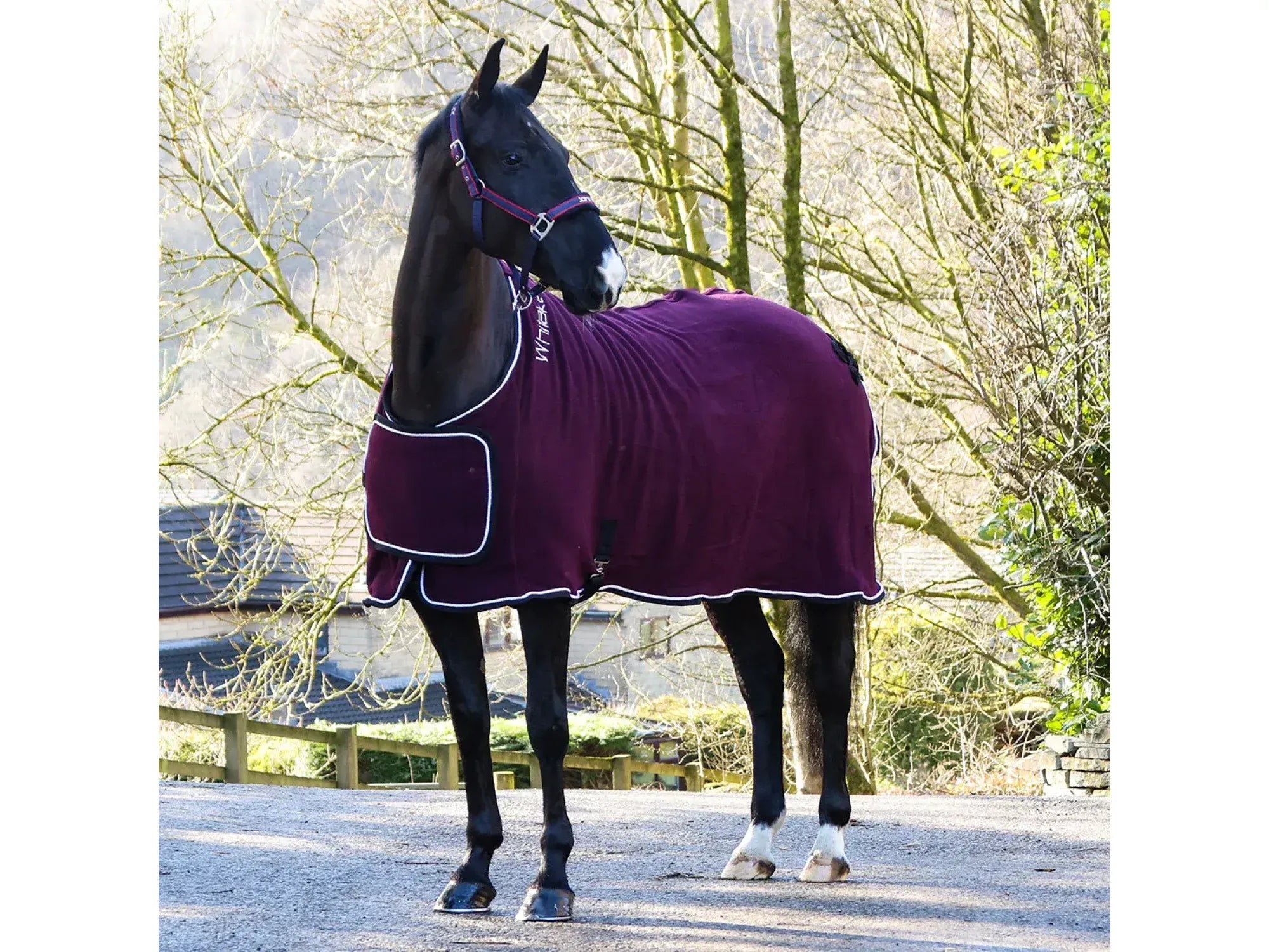 Whitaker Club Show Rug in Burgundy