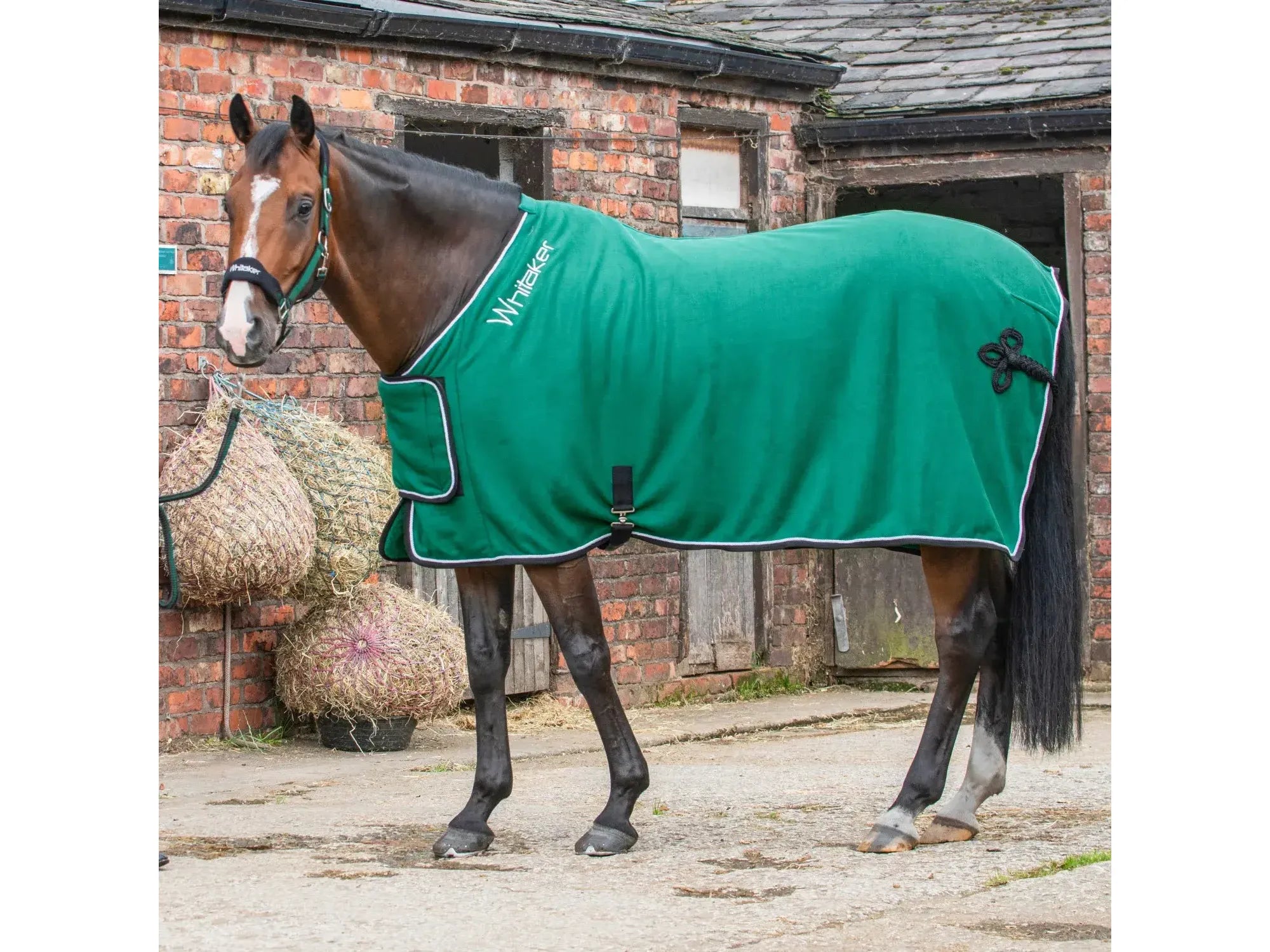 Whitaker Club Show Rug in Green