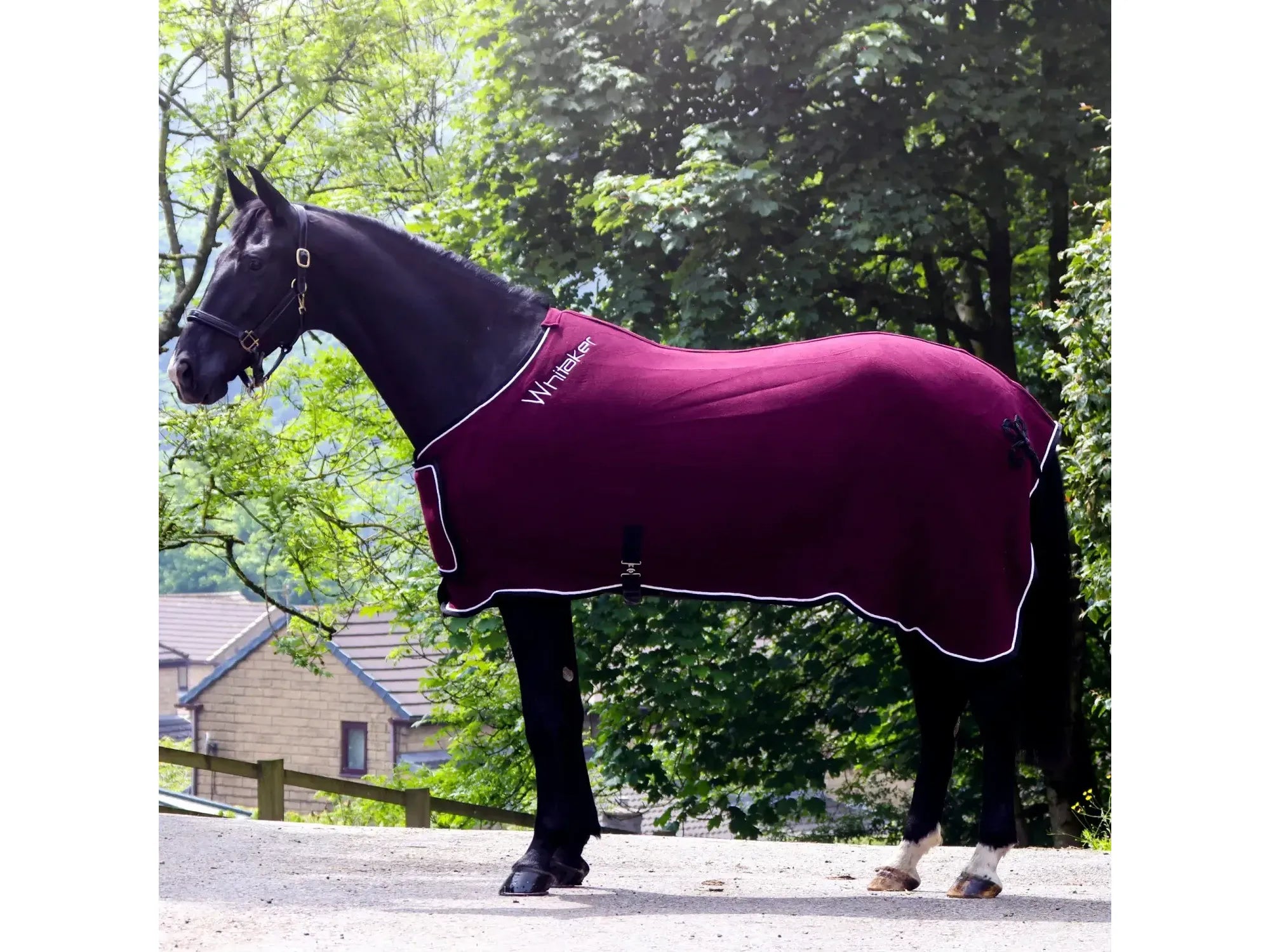 Whitaker Club Show Rug in Green