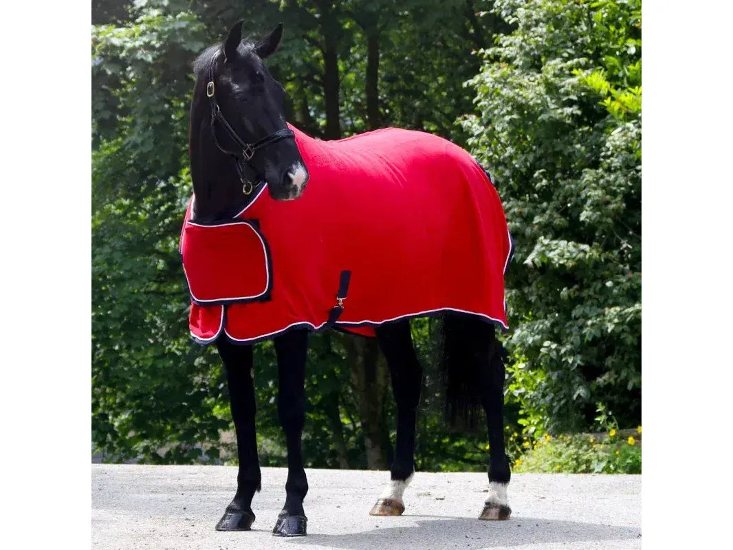 Whitaker Club Show Rug in Red