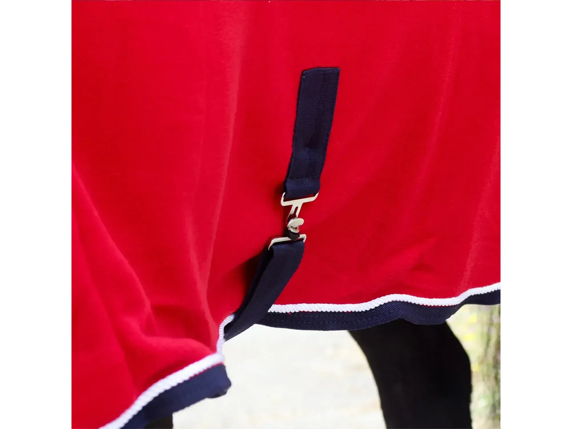 Whitaker Club Show Rug in Red