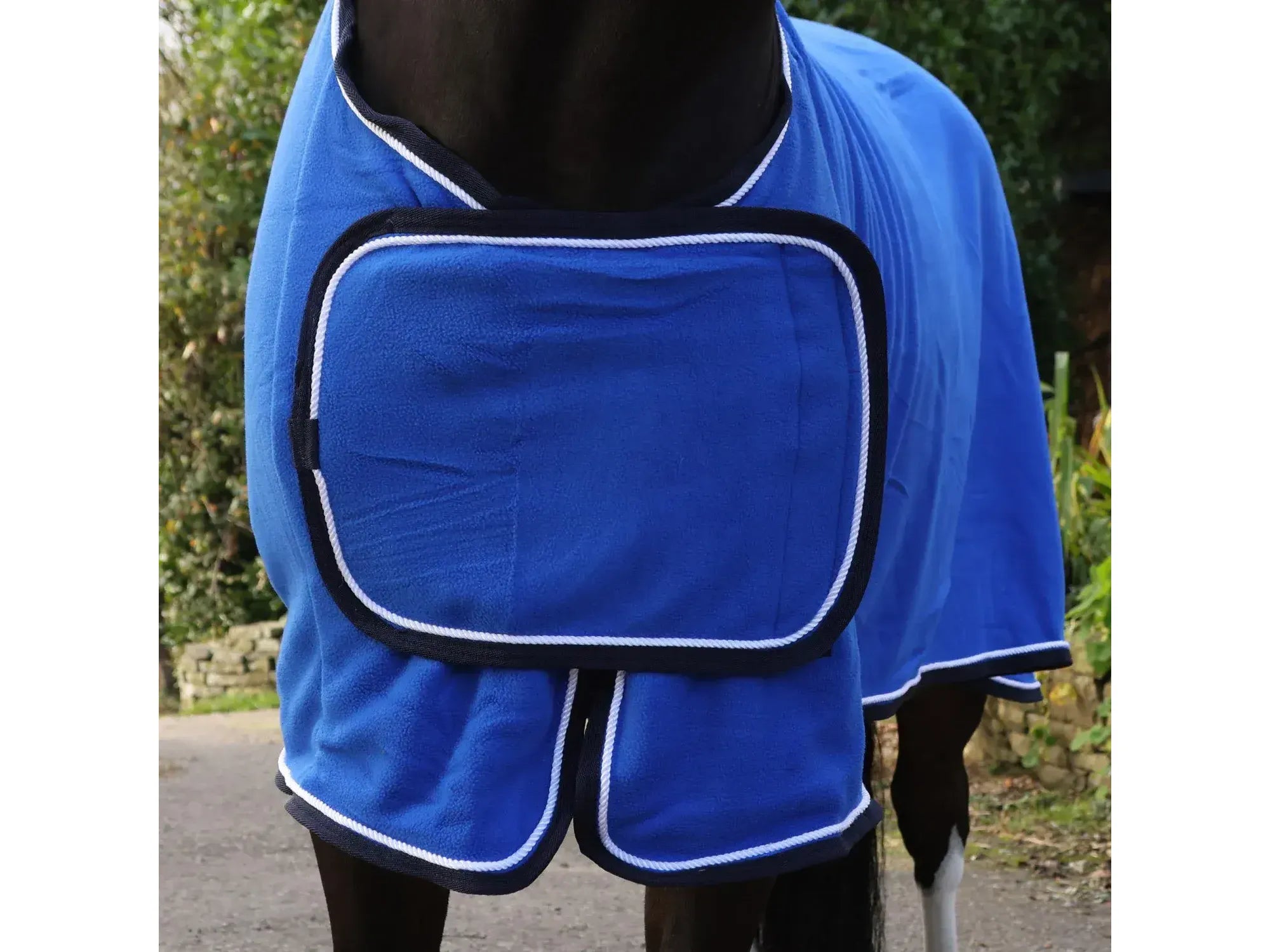 Whitaker Club Show Rug in Royal Blue