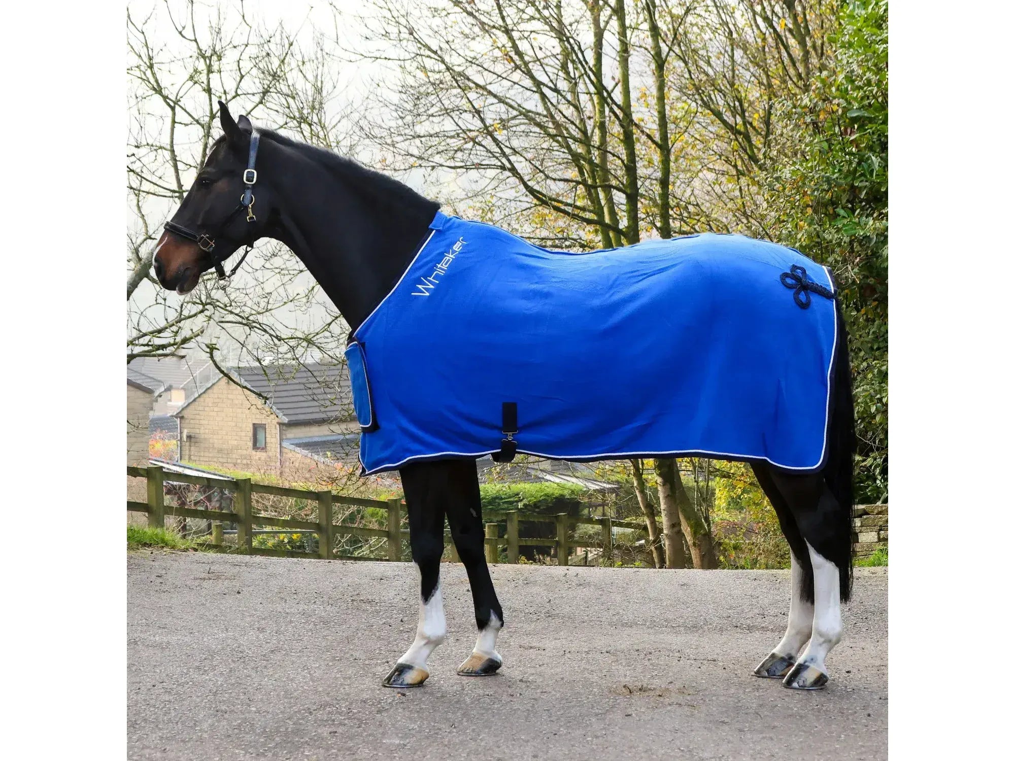 Whitaker Club Show Rug in Royal Blue