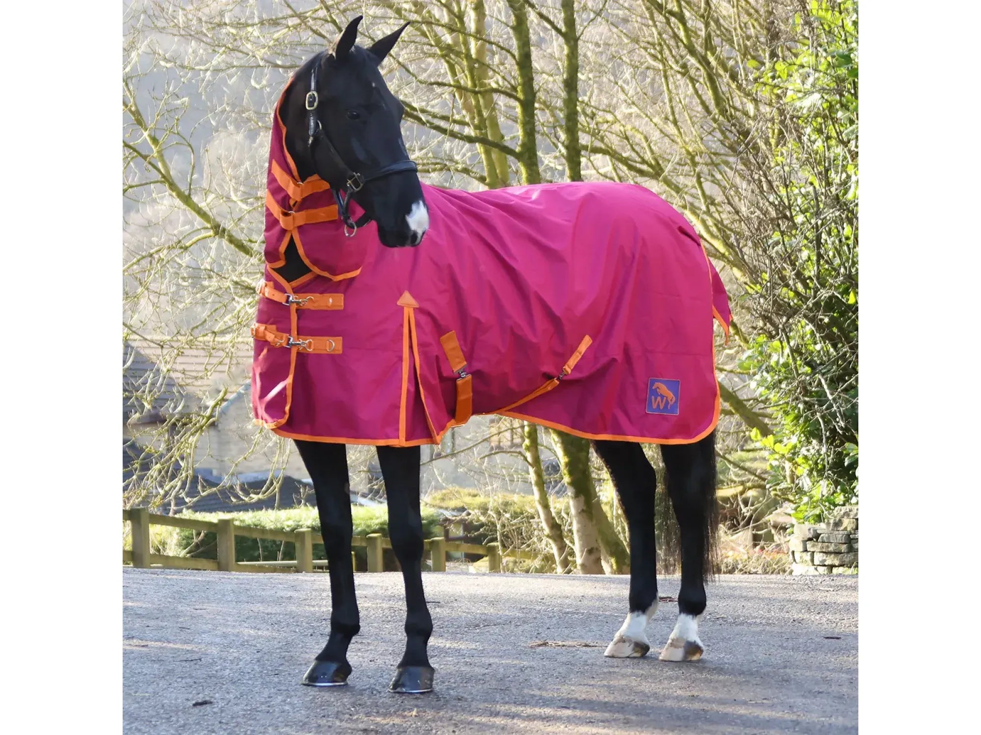 Whitaker Horse 0g Fixed Neck Turnout Rug - Limited Edition
