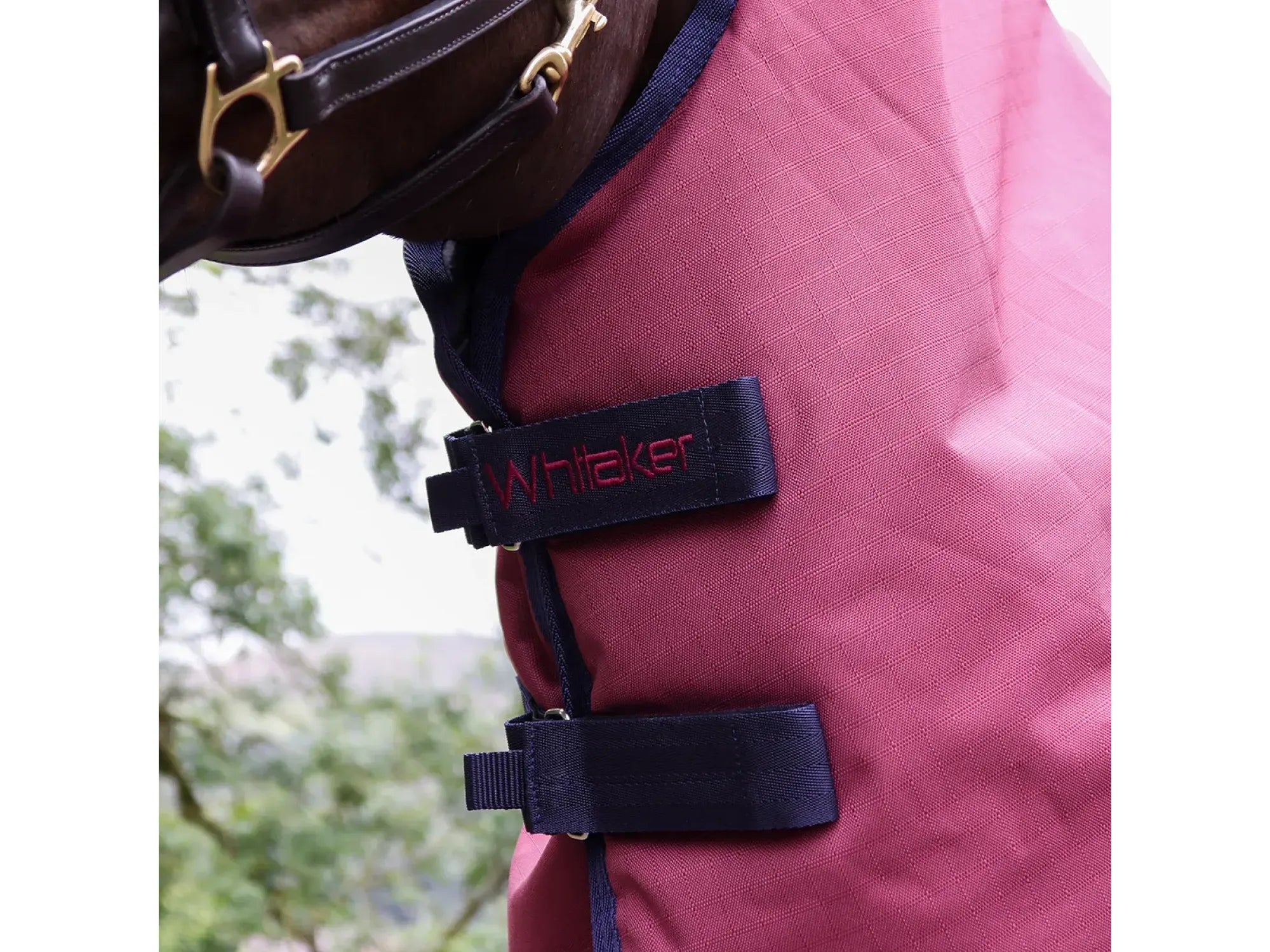 Whitaker Larkspur 300g Combo Turnout Rug - Limited Sizes Available