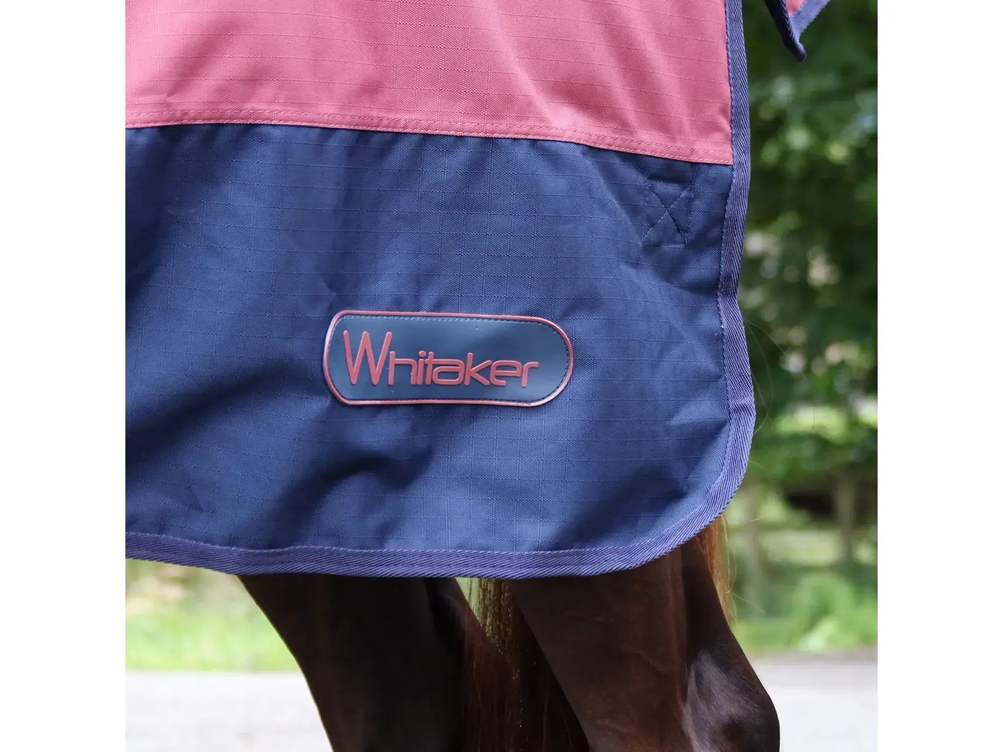 Whitaker Larkspur 300g Combo Turnout Rug - Limited Sizes Available