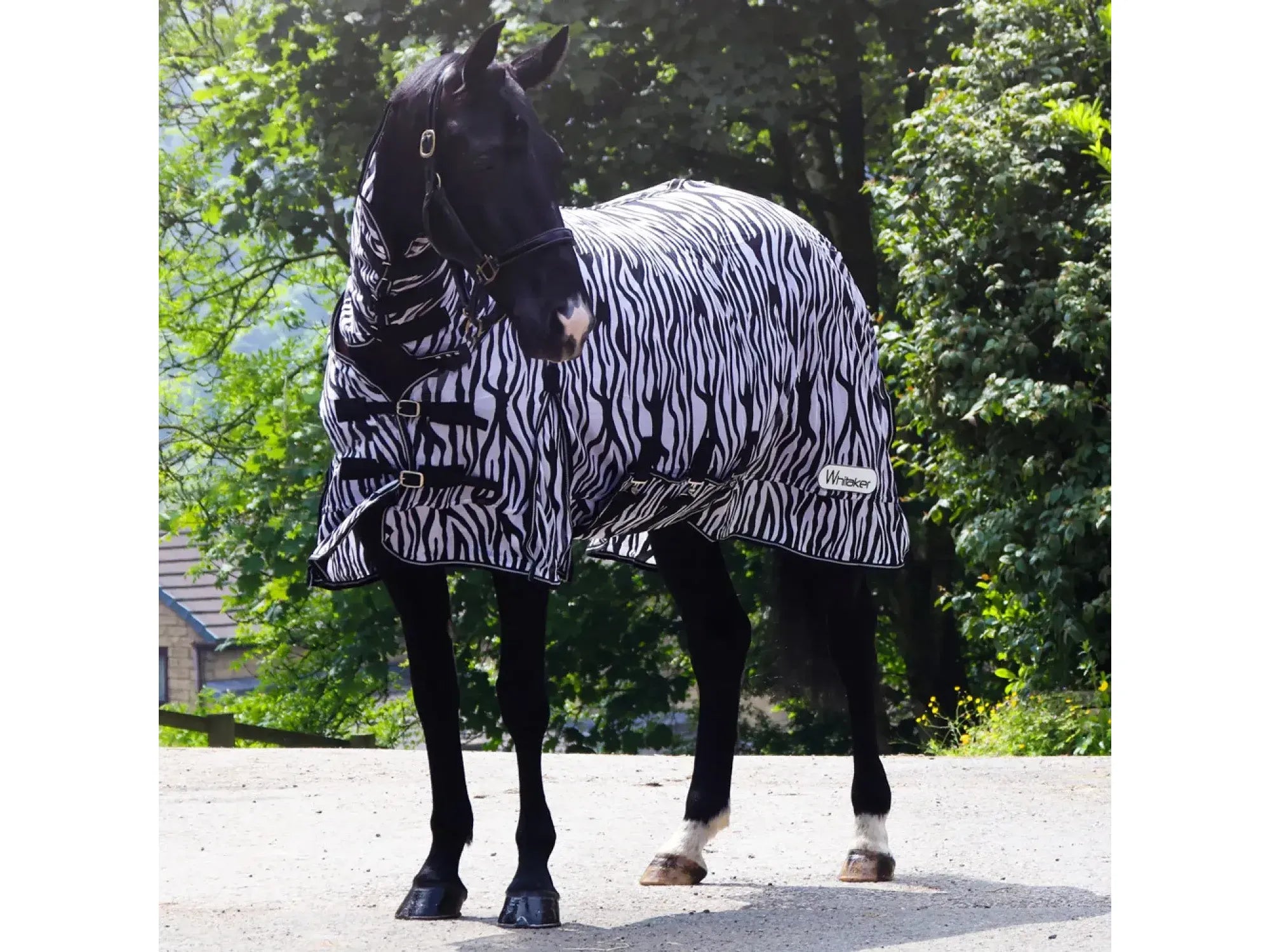 Whitaker Marwell Zebra Print Fly Rug