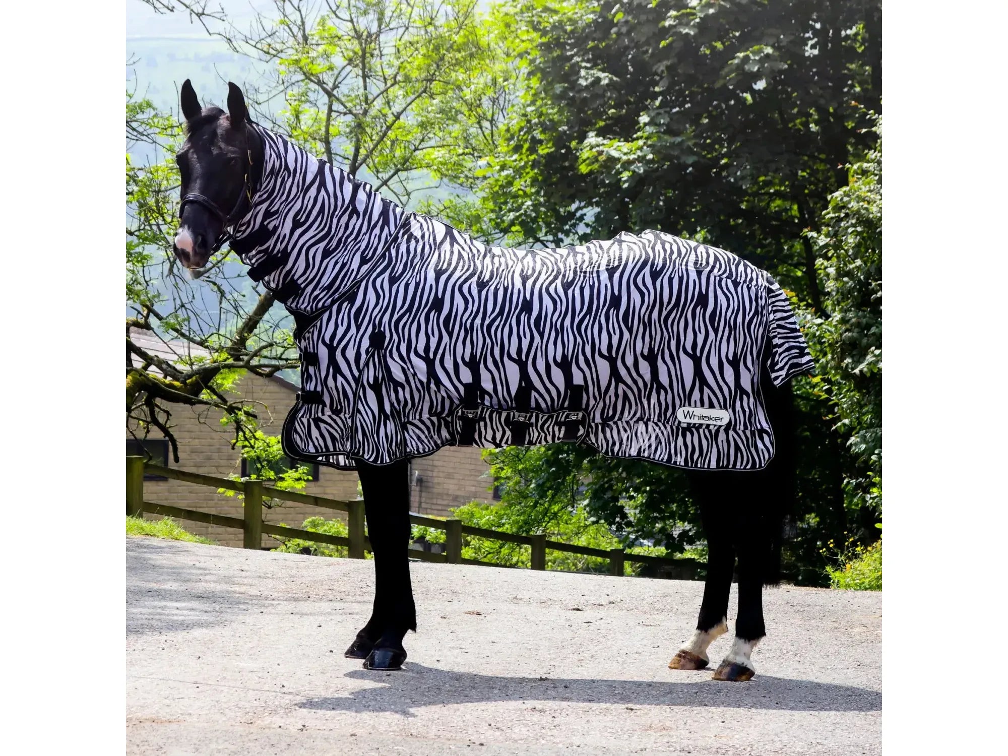 Whitaker Marwell Zebra Print Fly Rug