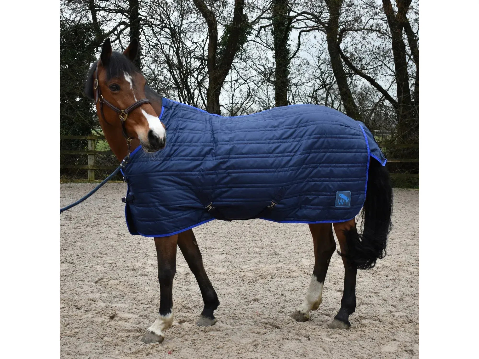 Whitaker Pippa 100g Stable Rug with Tail Cover