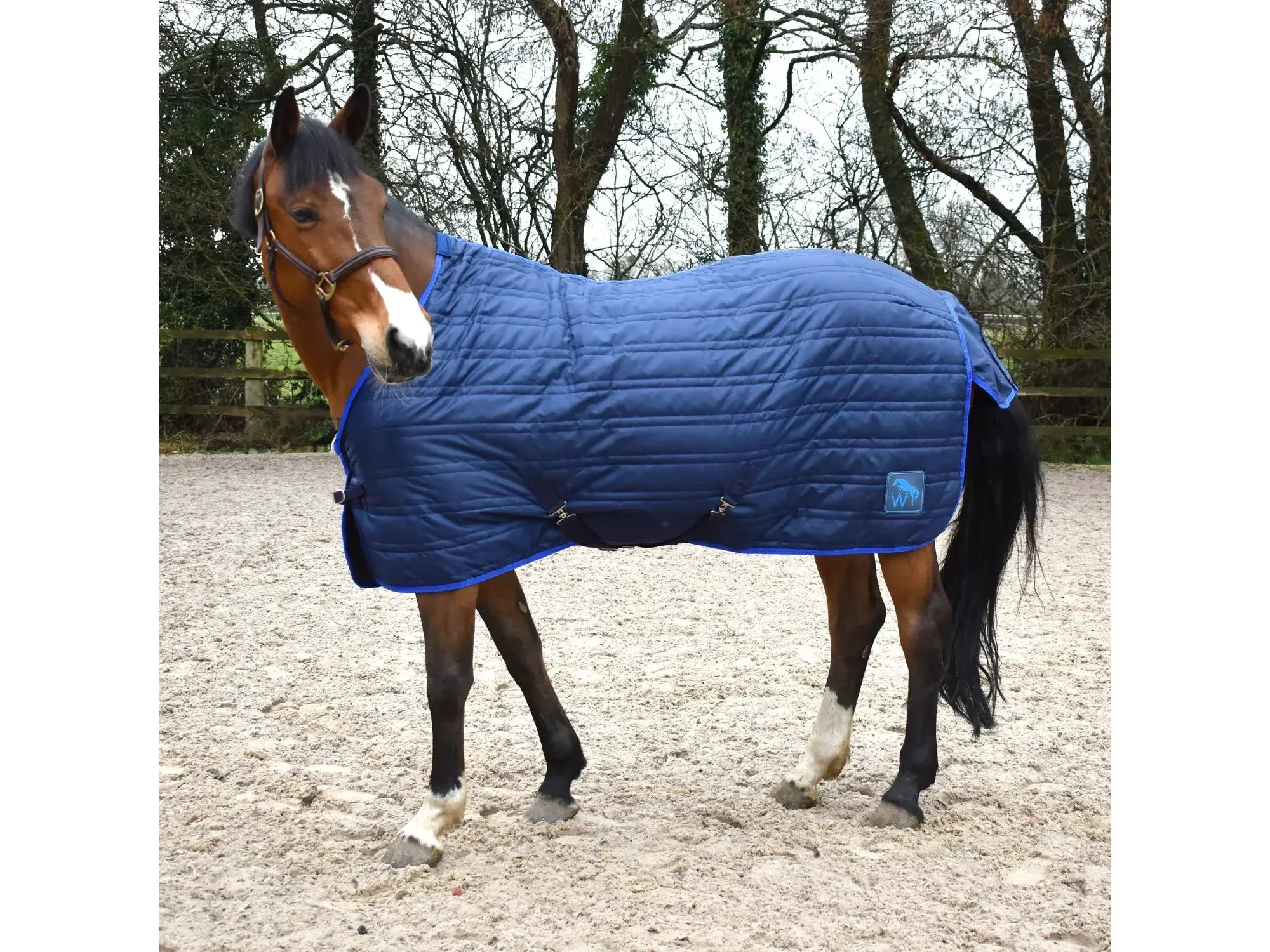 Whitaker Pippa 100g Stable Rug with Tail Cover