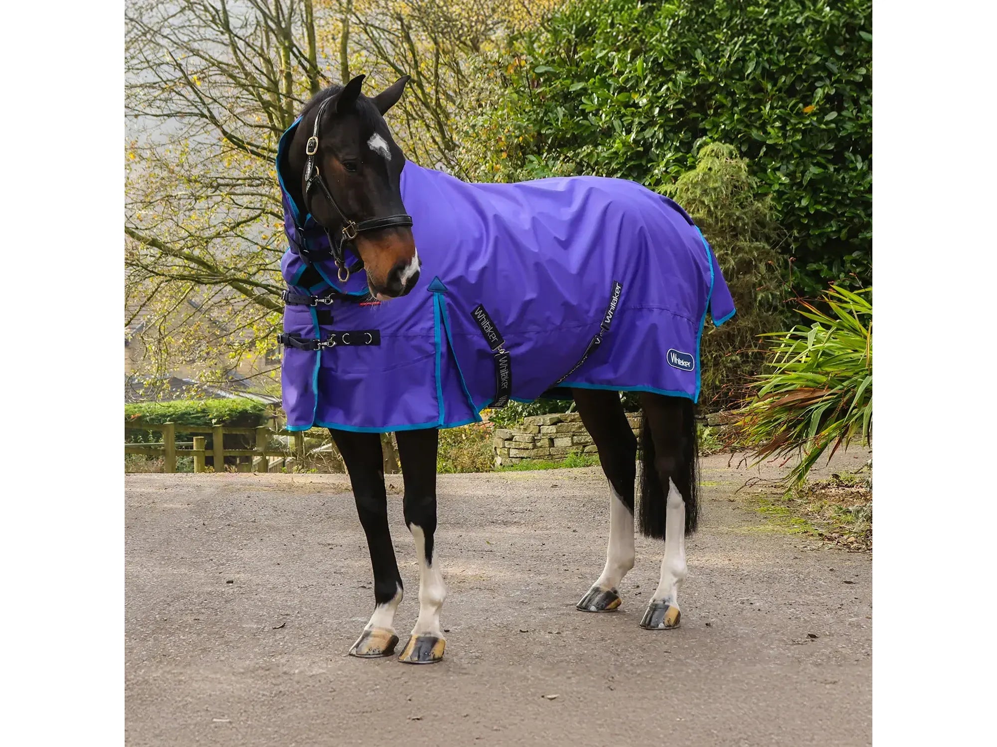 Whitaker Rastrick 0g Fixed Neck Turnout - Purple Limited Edition