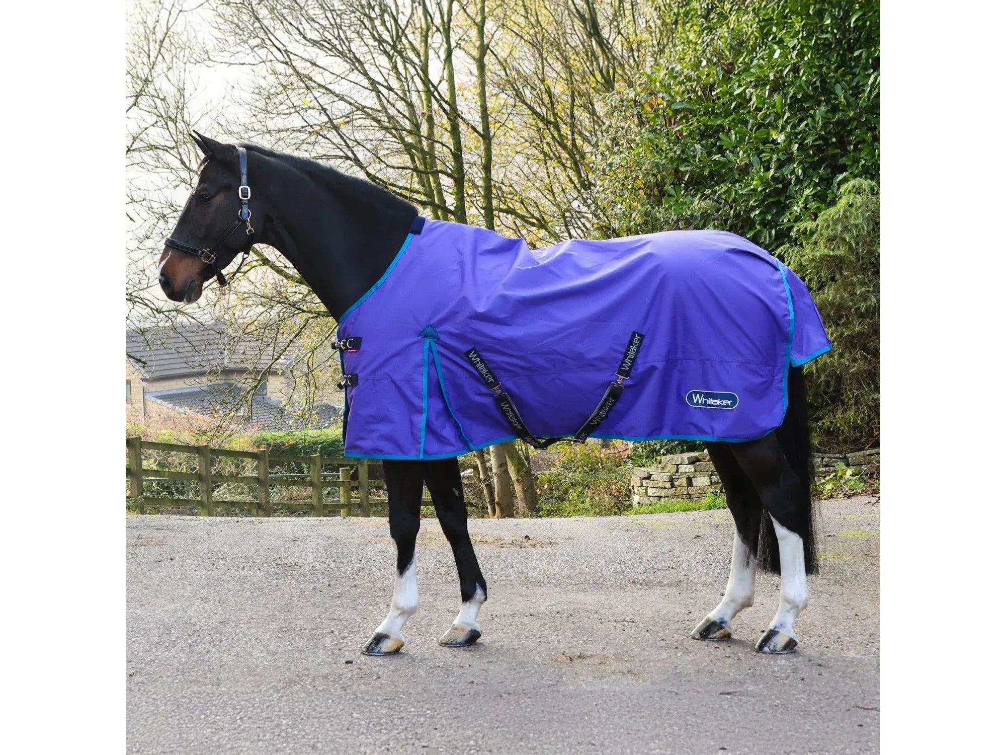 Whitaker Rastrick 0g Turnout - Purple Limited Edition