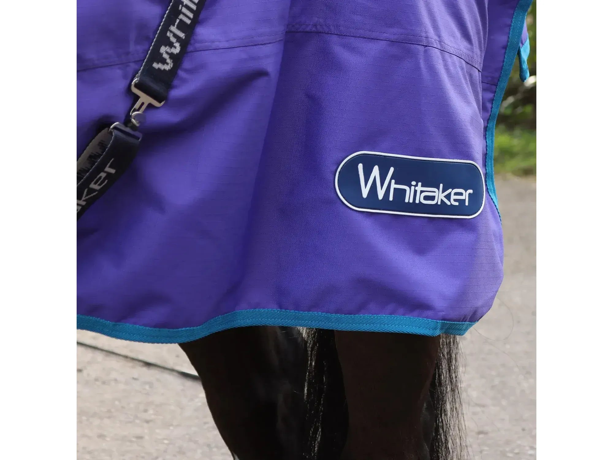 Whitaker Rastrick 0g Turnout - Purple Limited Edition