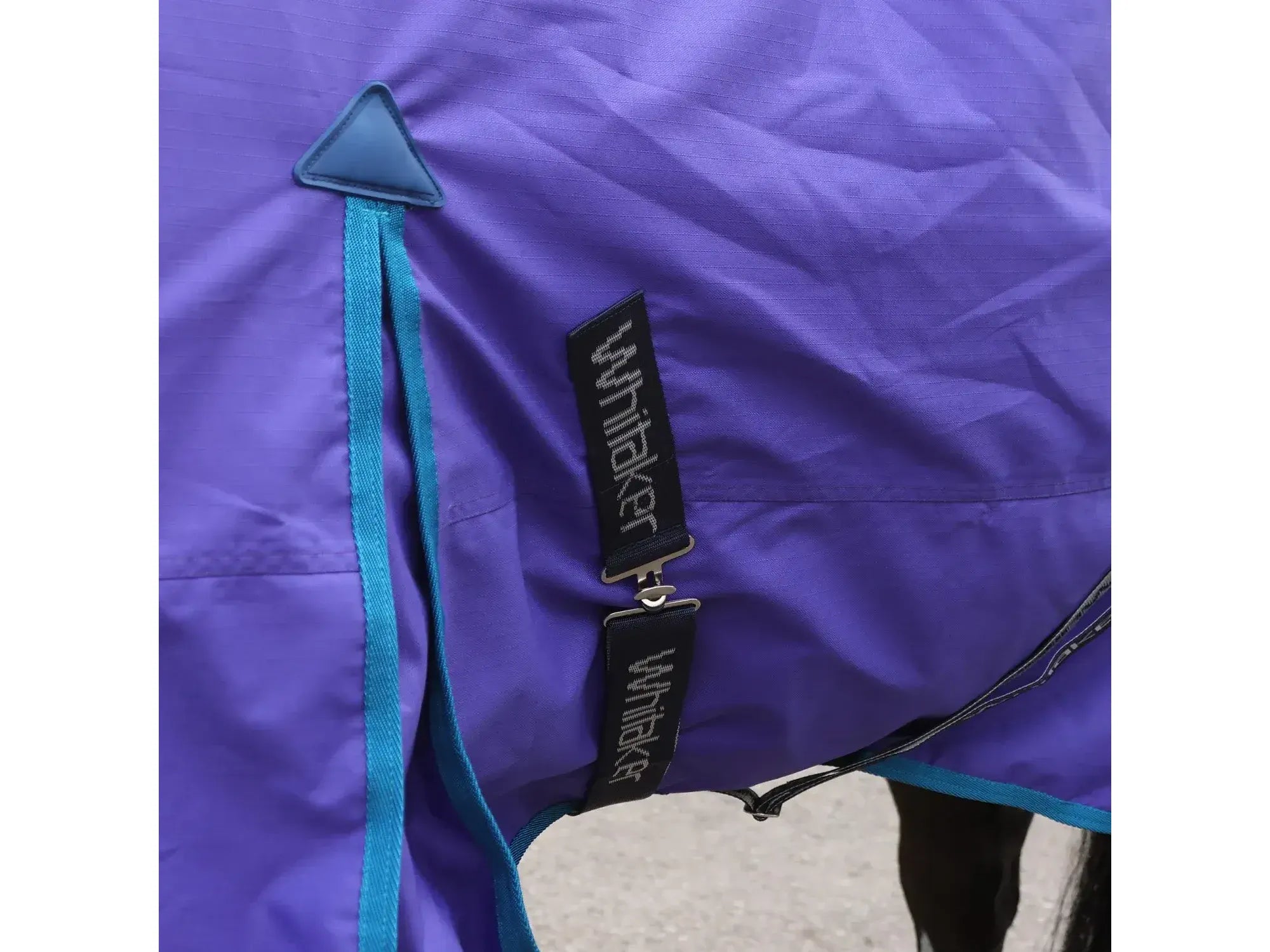 Whitaker Rastrick 0g Turnout - Purple Limited Edition