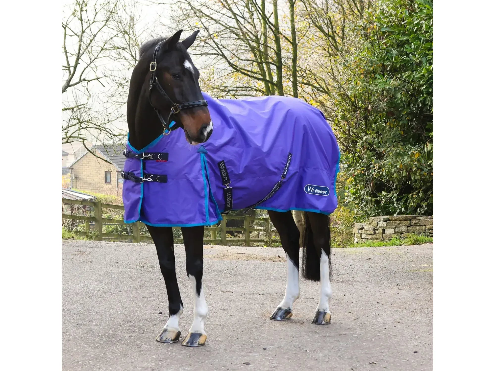 Whitaker Rastrick 0g Turnout - Purple Limited Edition