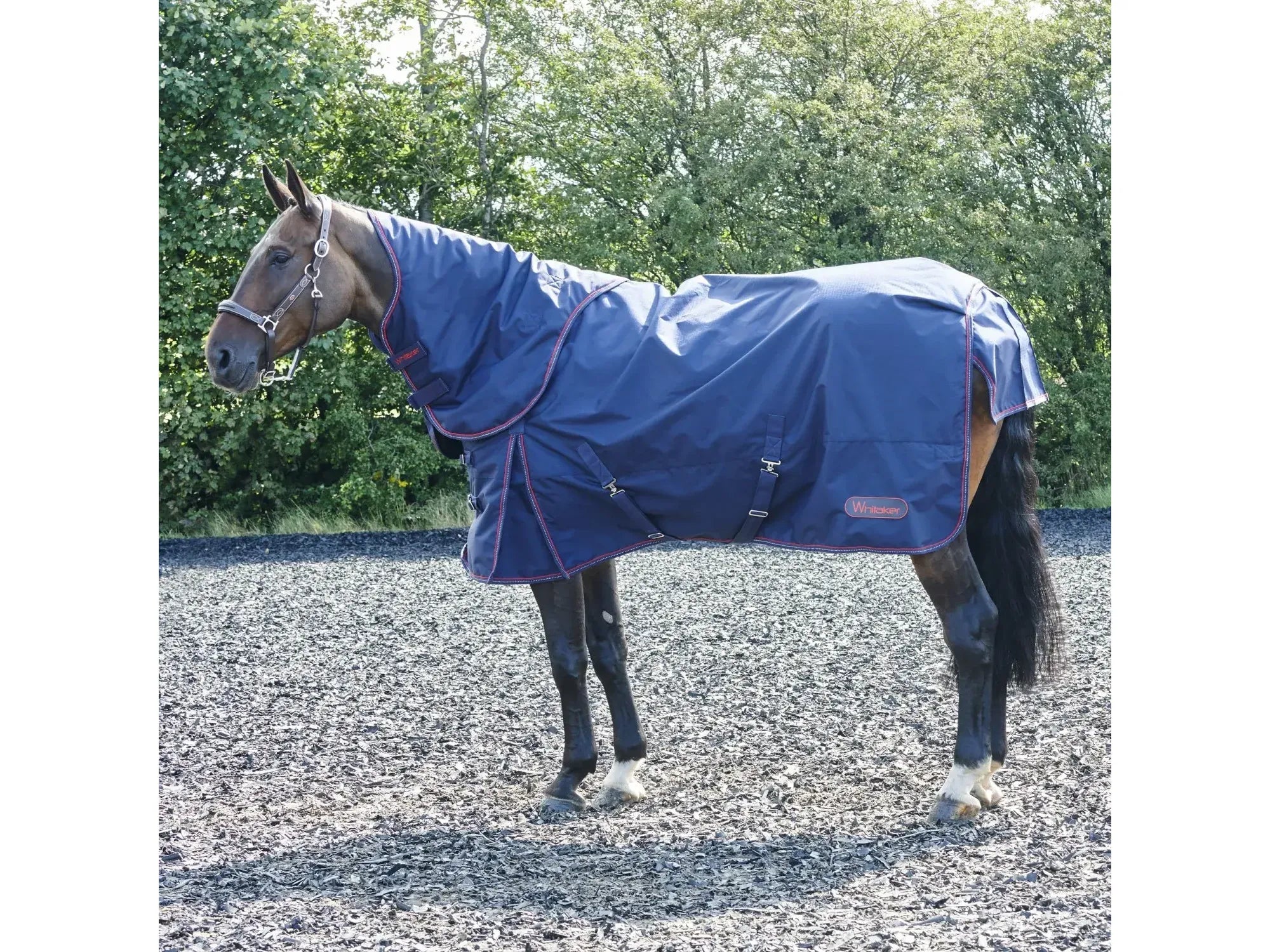 Whitaker Rastrick 250g Combo Turnout Rug