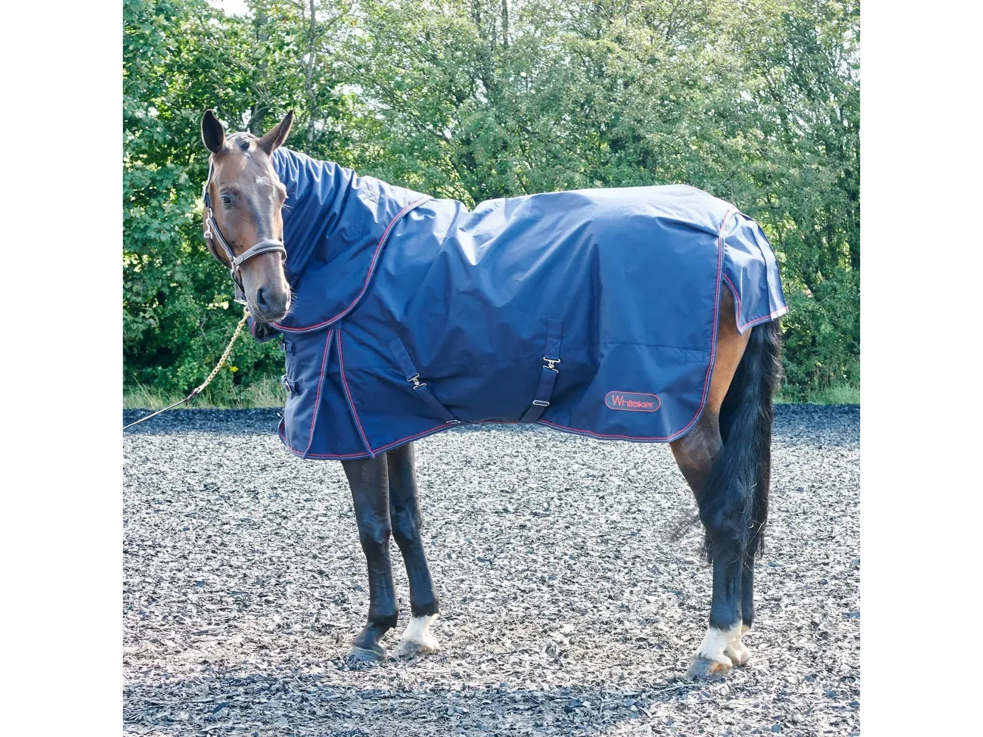 Whitaker Rastrick 250g Combo Turnout Rug