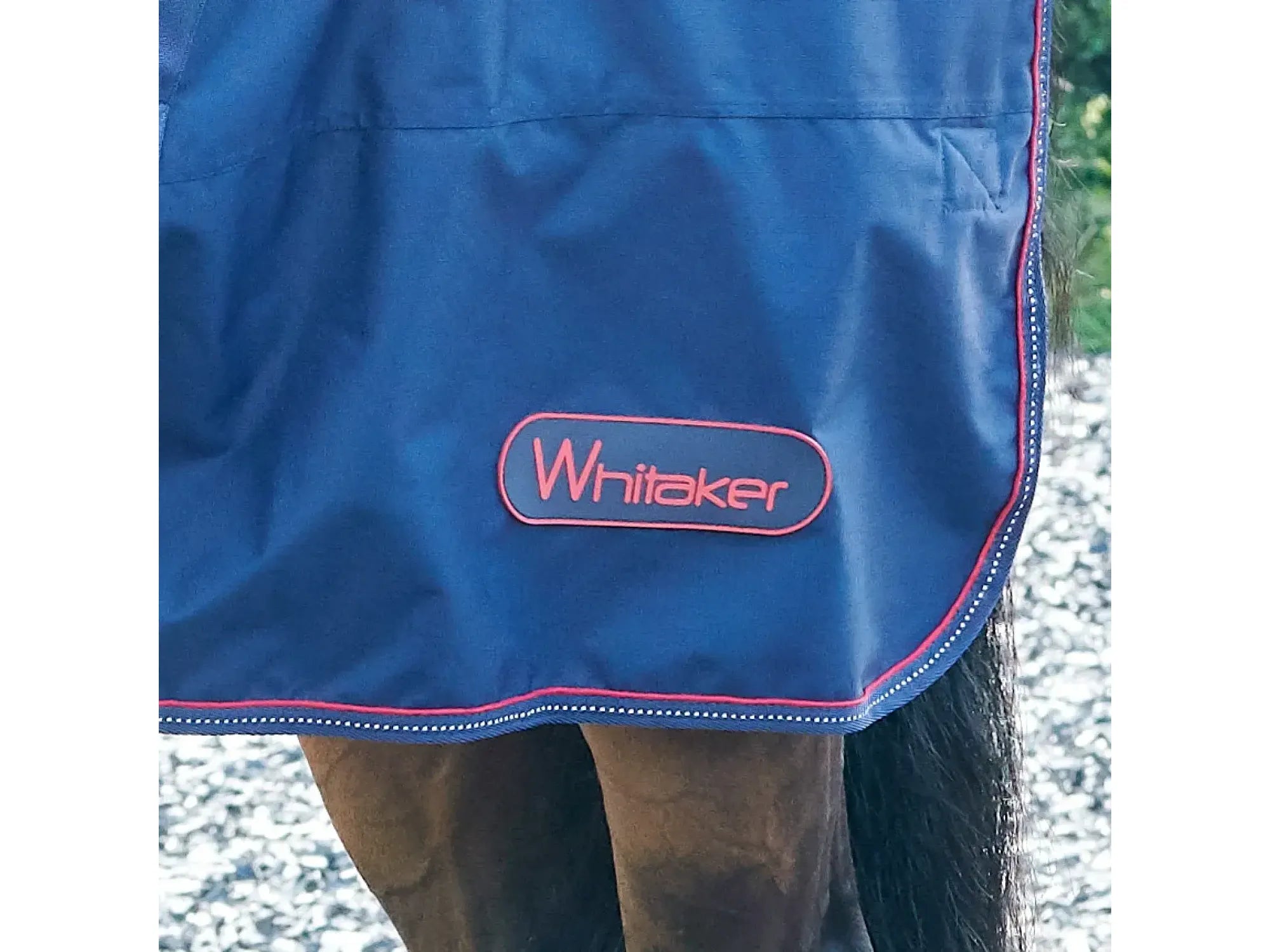 Whitaker Rastrick 250g Combo Turnout Rug