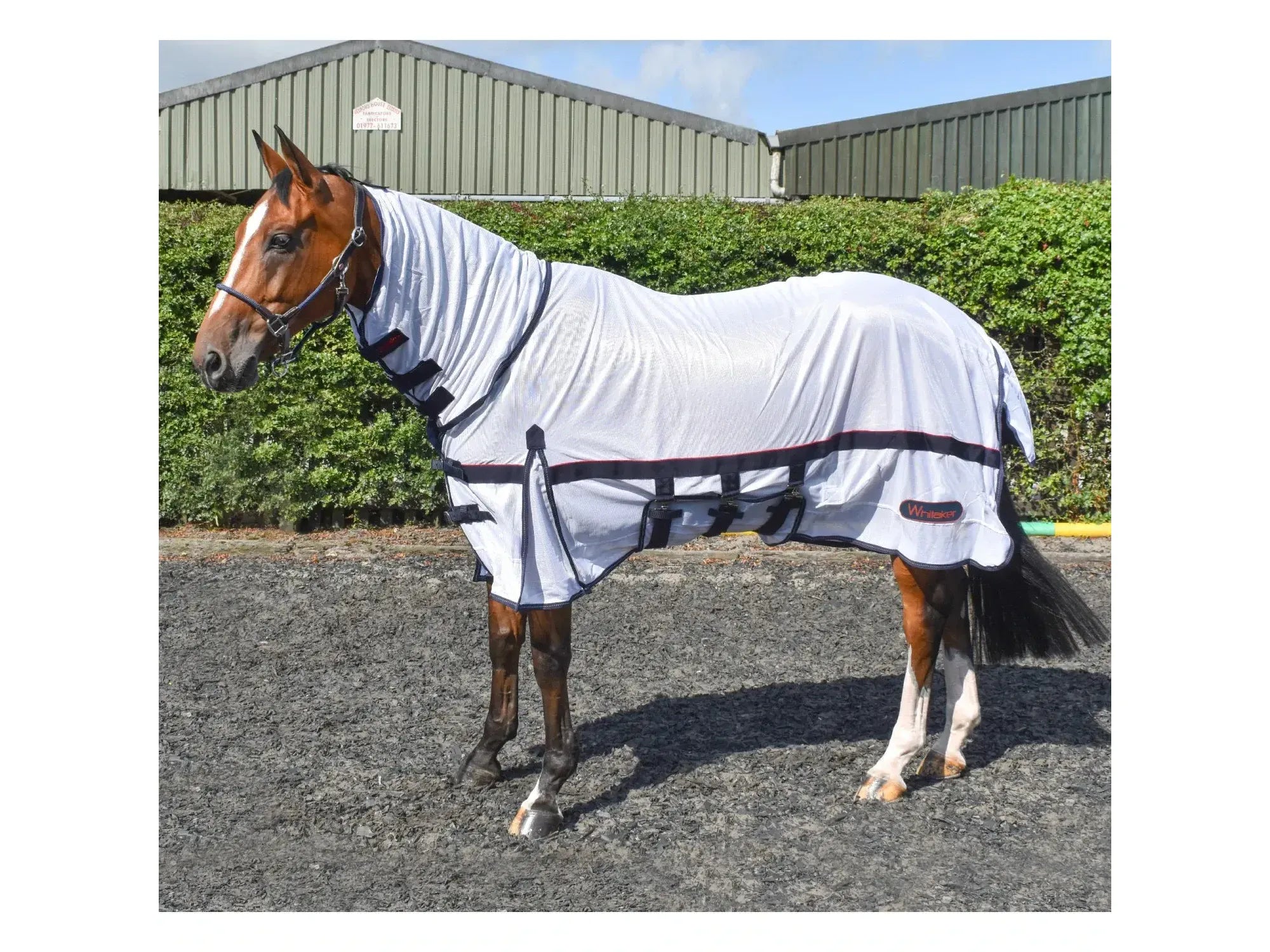 Whitaker Rastrick Fly Mesh with Fixed Hood