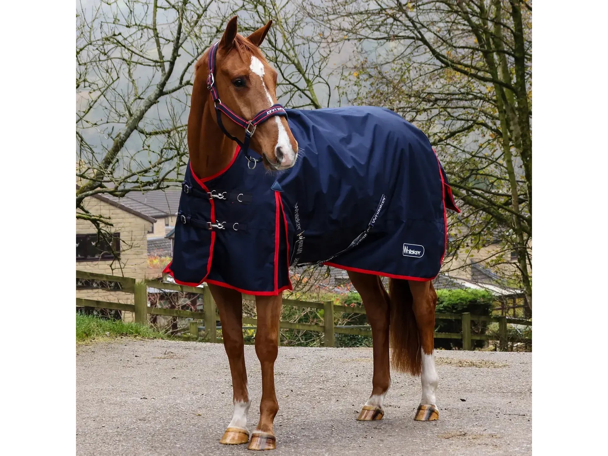 Whitaker Rastrick V2 100g Turnout
