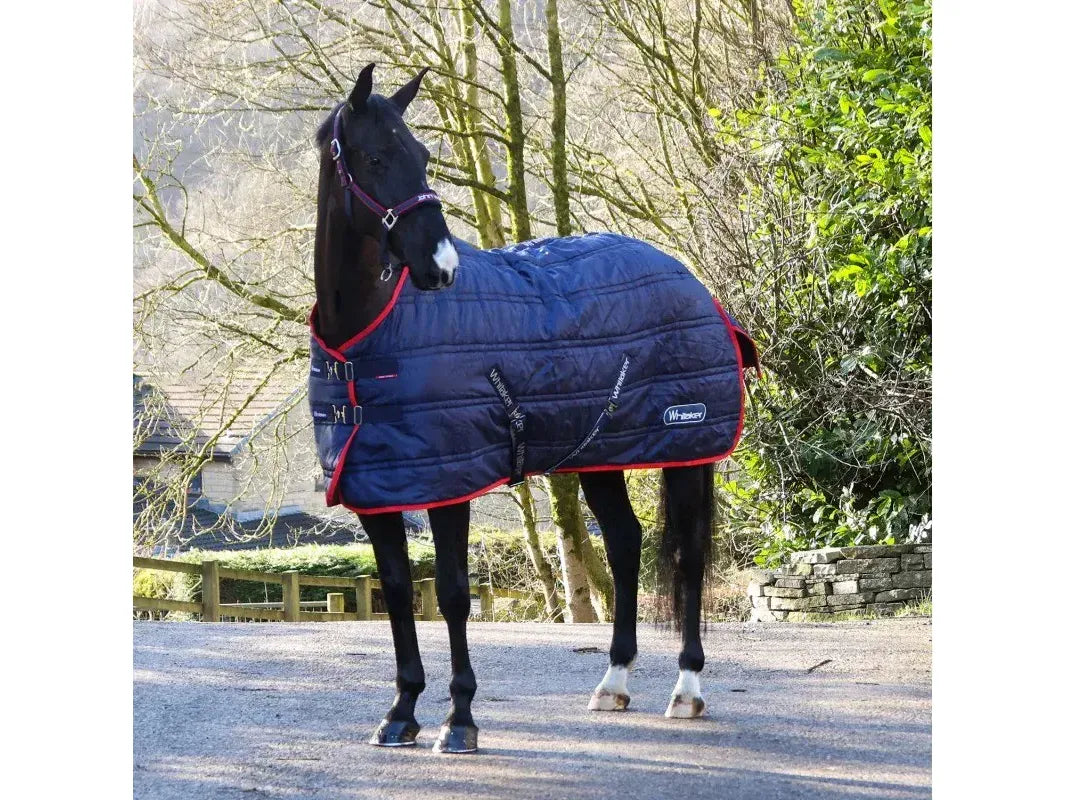 Whitaker Rastrick V2 200g Standard Stable Rug