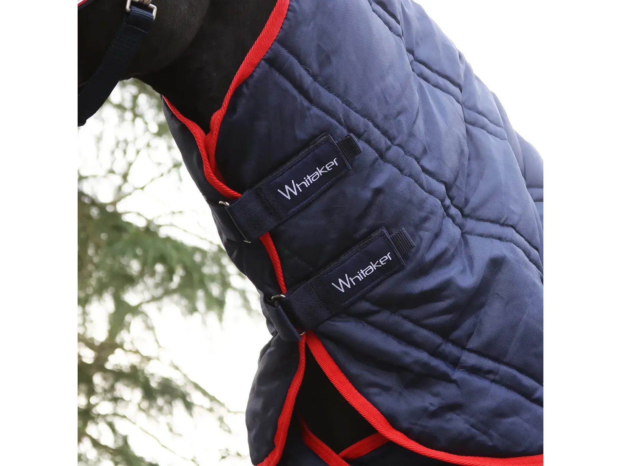 Whitaker Rastrick V2 250g Combo Stable Rug