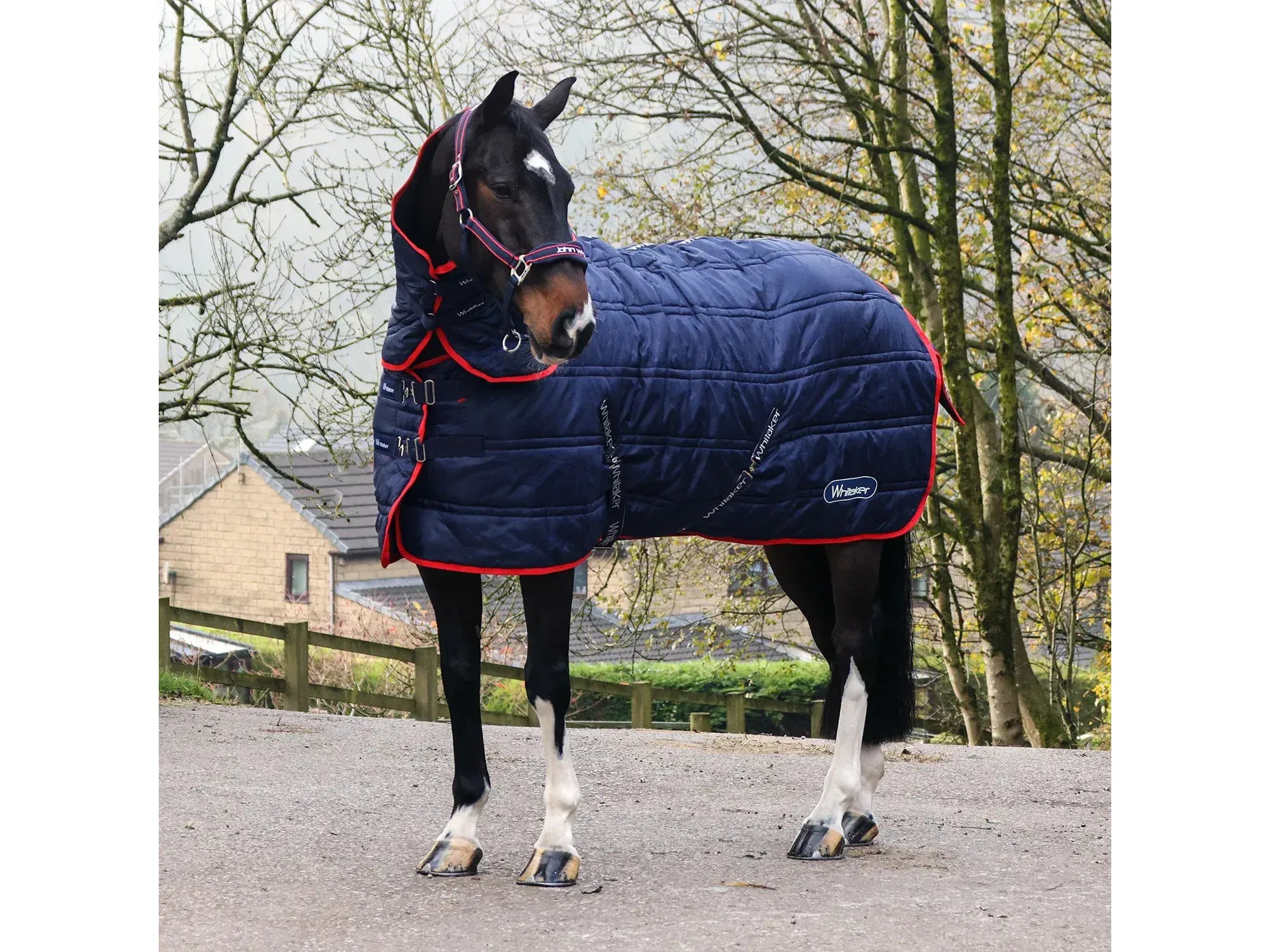Whitaker Rastrick V2 250g Combo Stable Rug